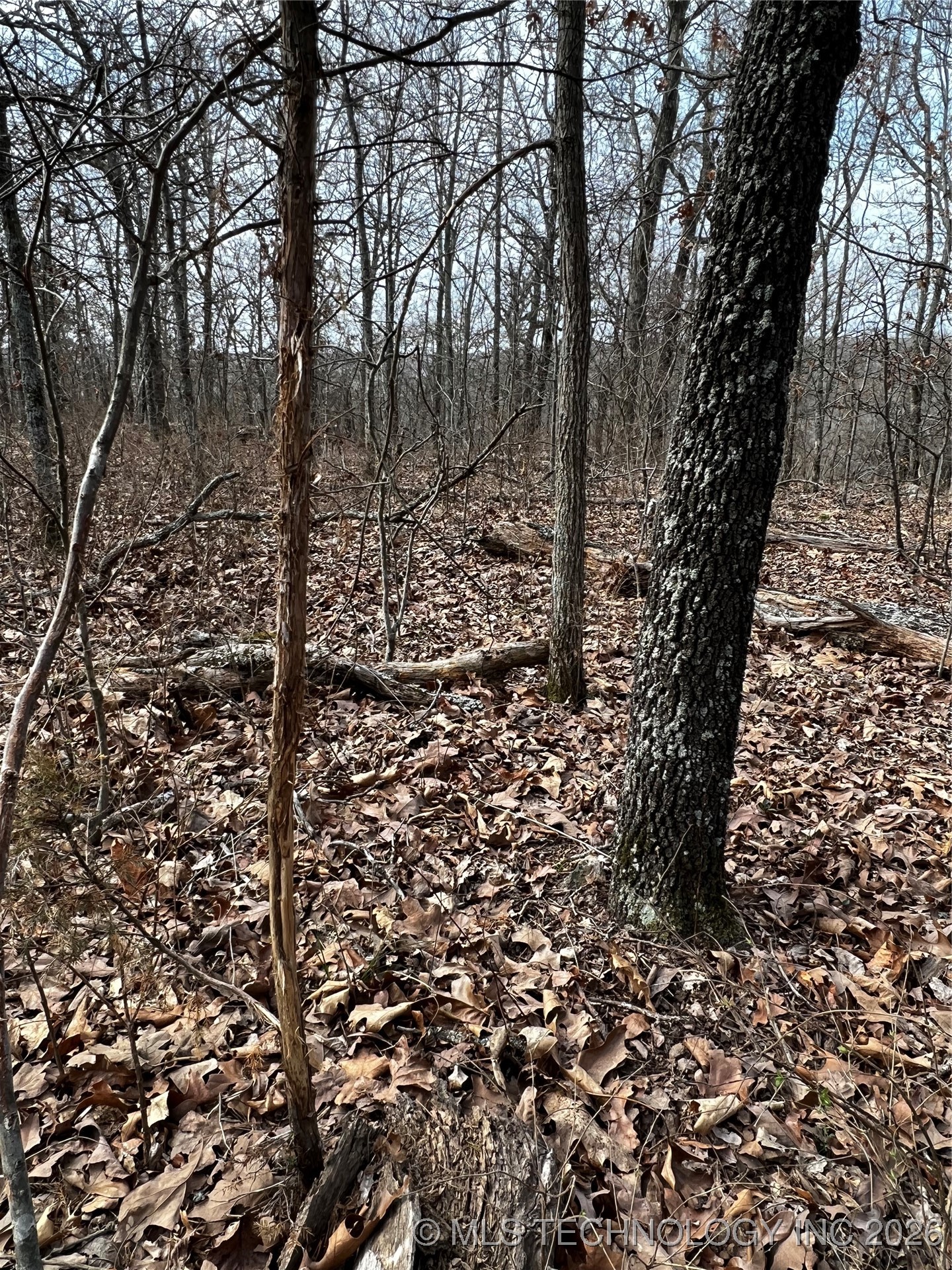 485 Property Photo 13