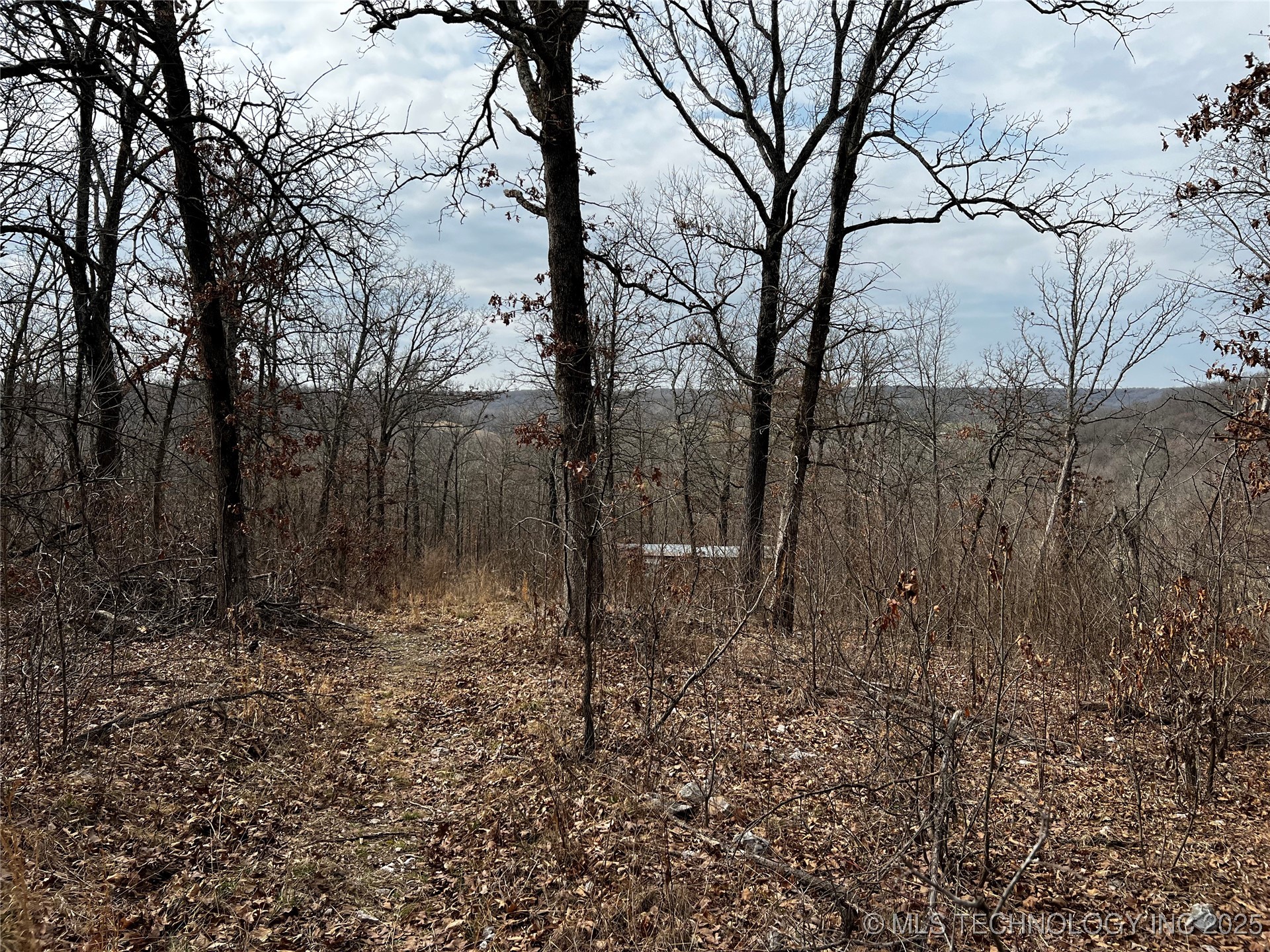 485 Property Photo 14