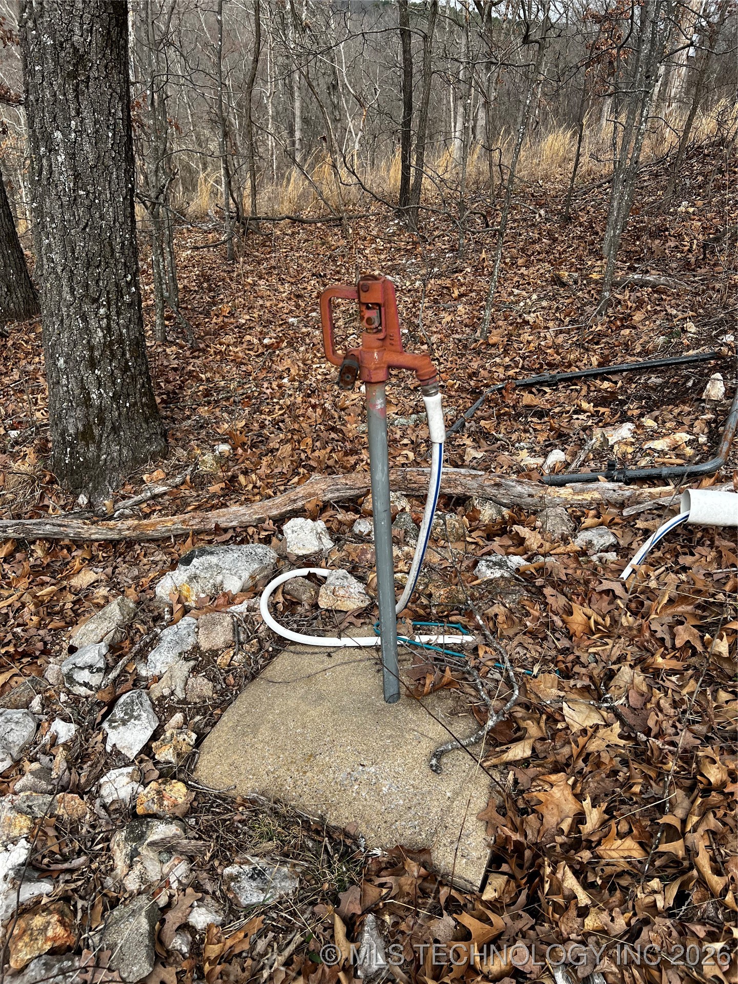 485 Property Photo 19