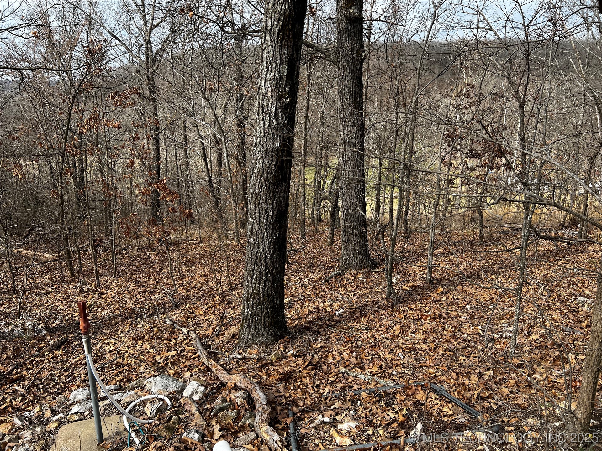 485 Property Photo 20