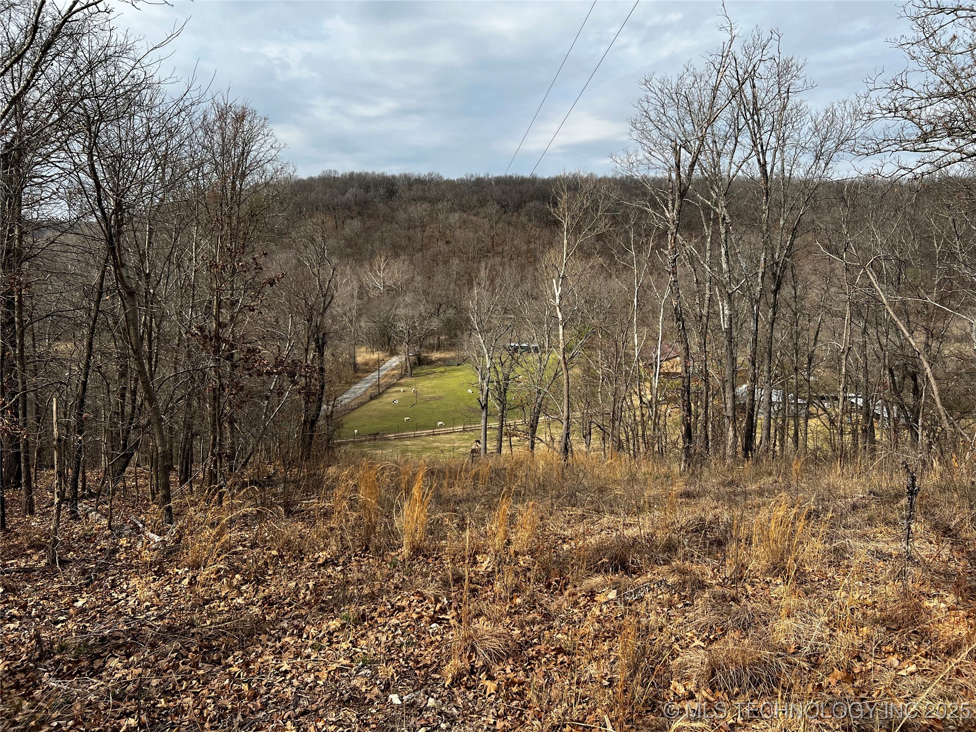 485 Property Photo 21