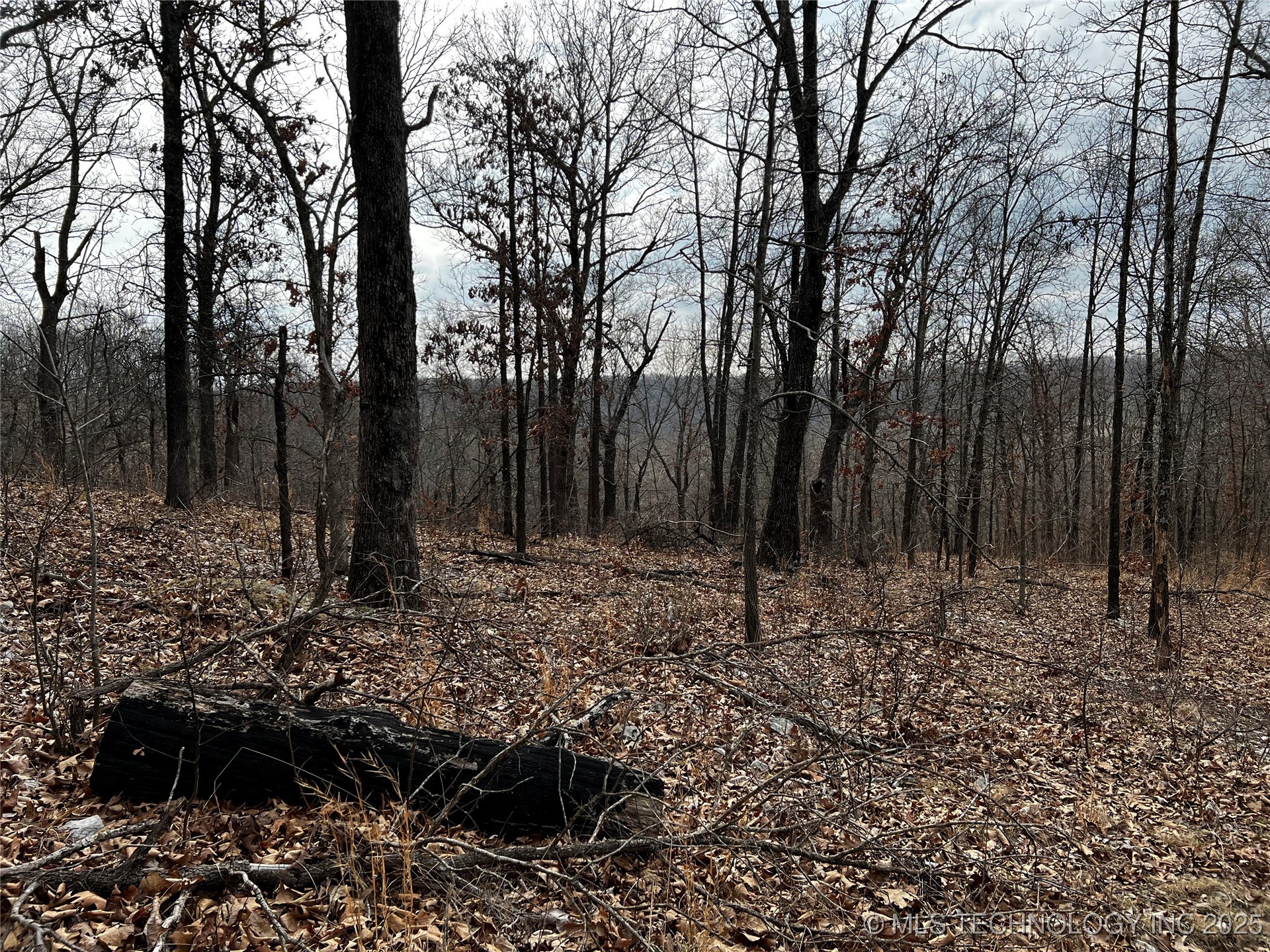 485 Property Photo 25