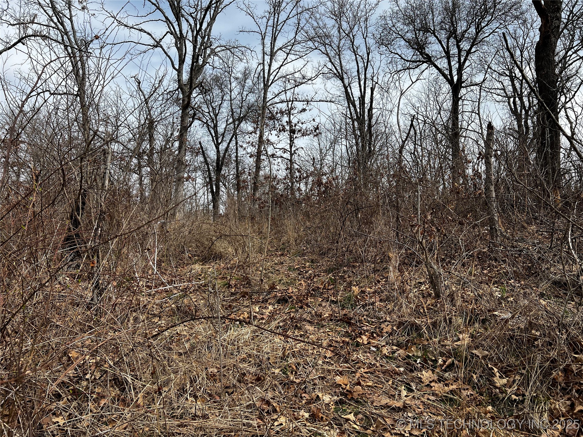 485 Property Photo 26