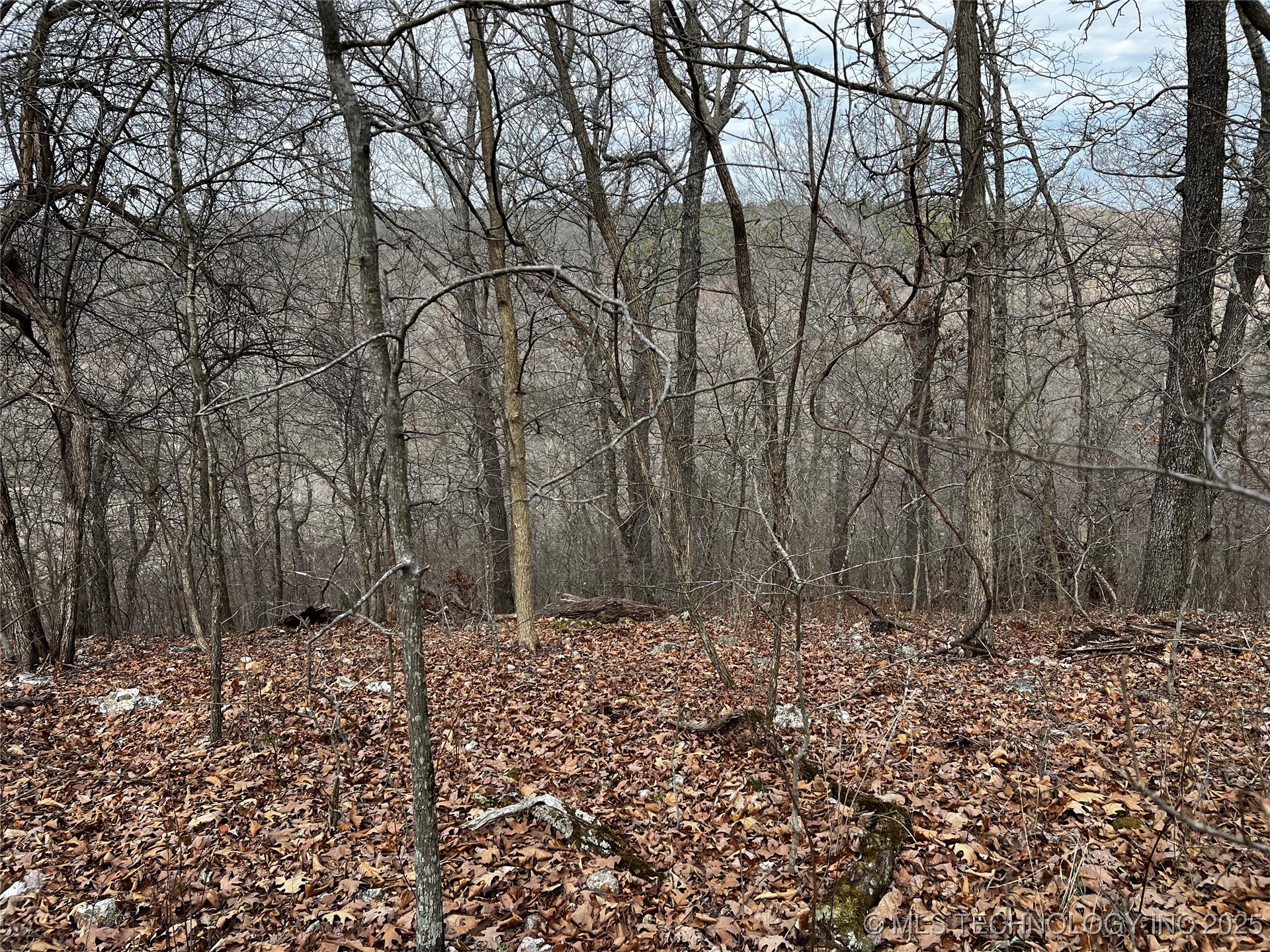 485 Property Photo 29