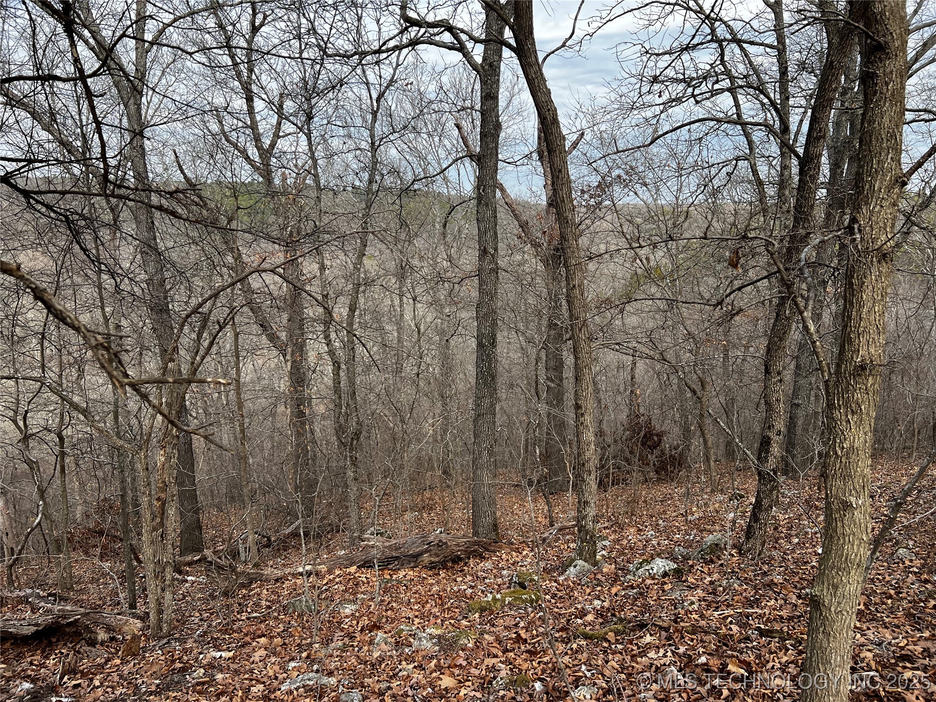 485 Property Photo 30