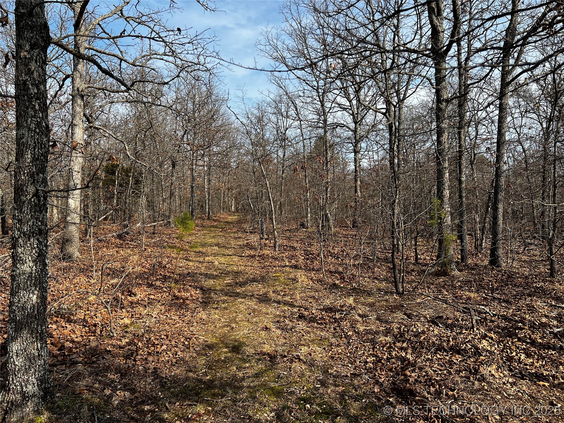 485 Property Photo 31