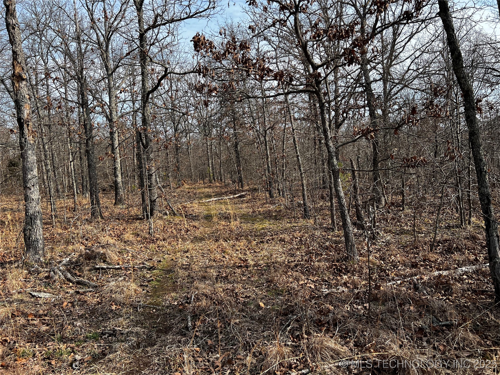 485 Property Photo 32