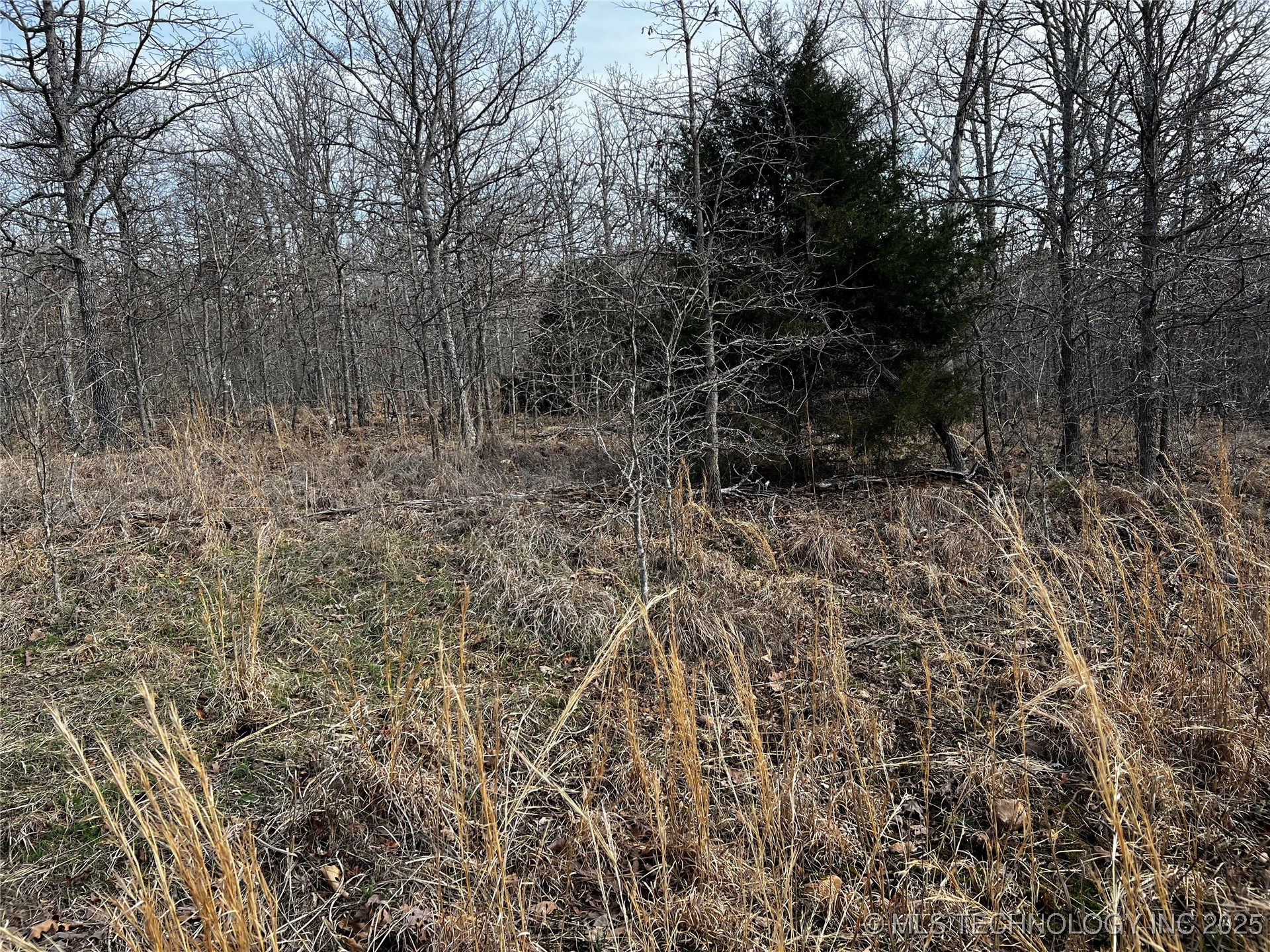 485 Property Photo 34