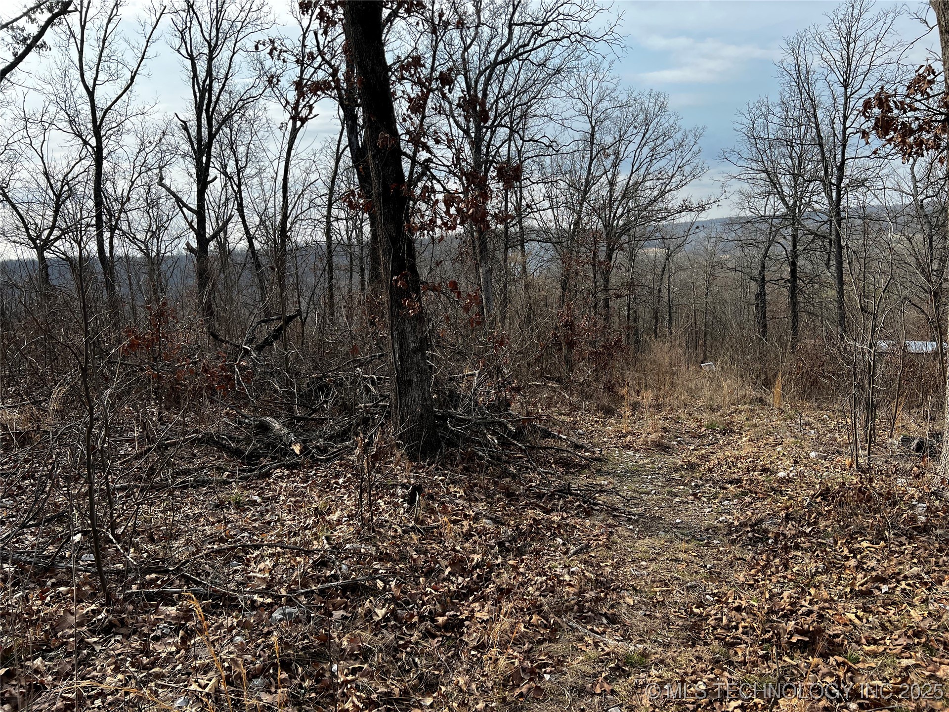 485 Property Photo 36