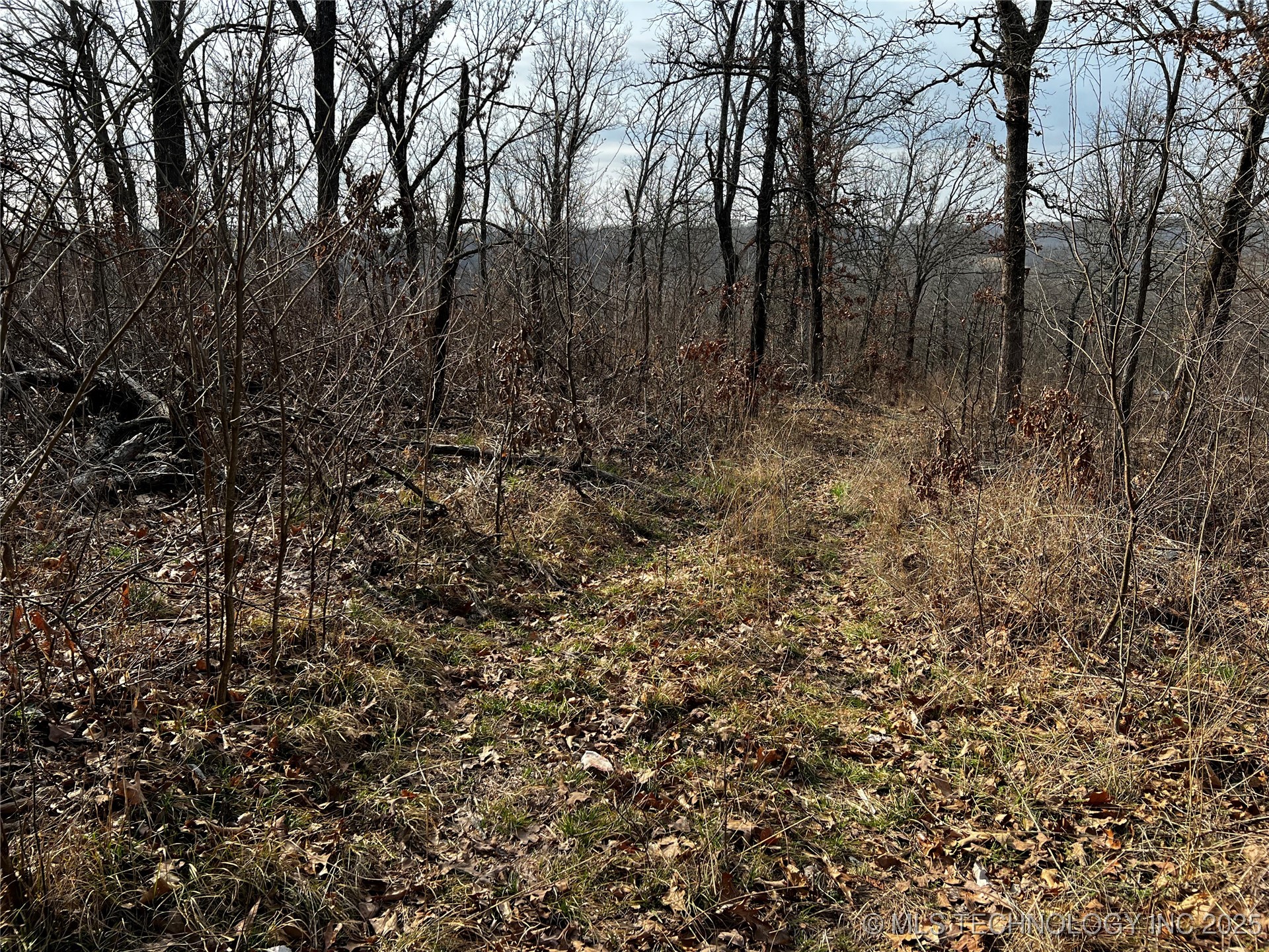 485 Property Photo 37