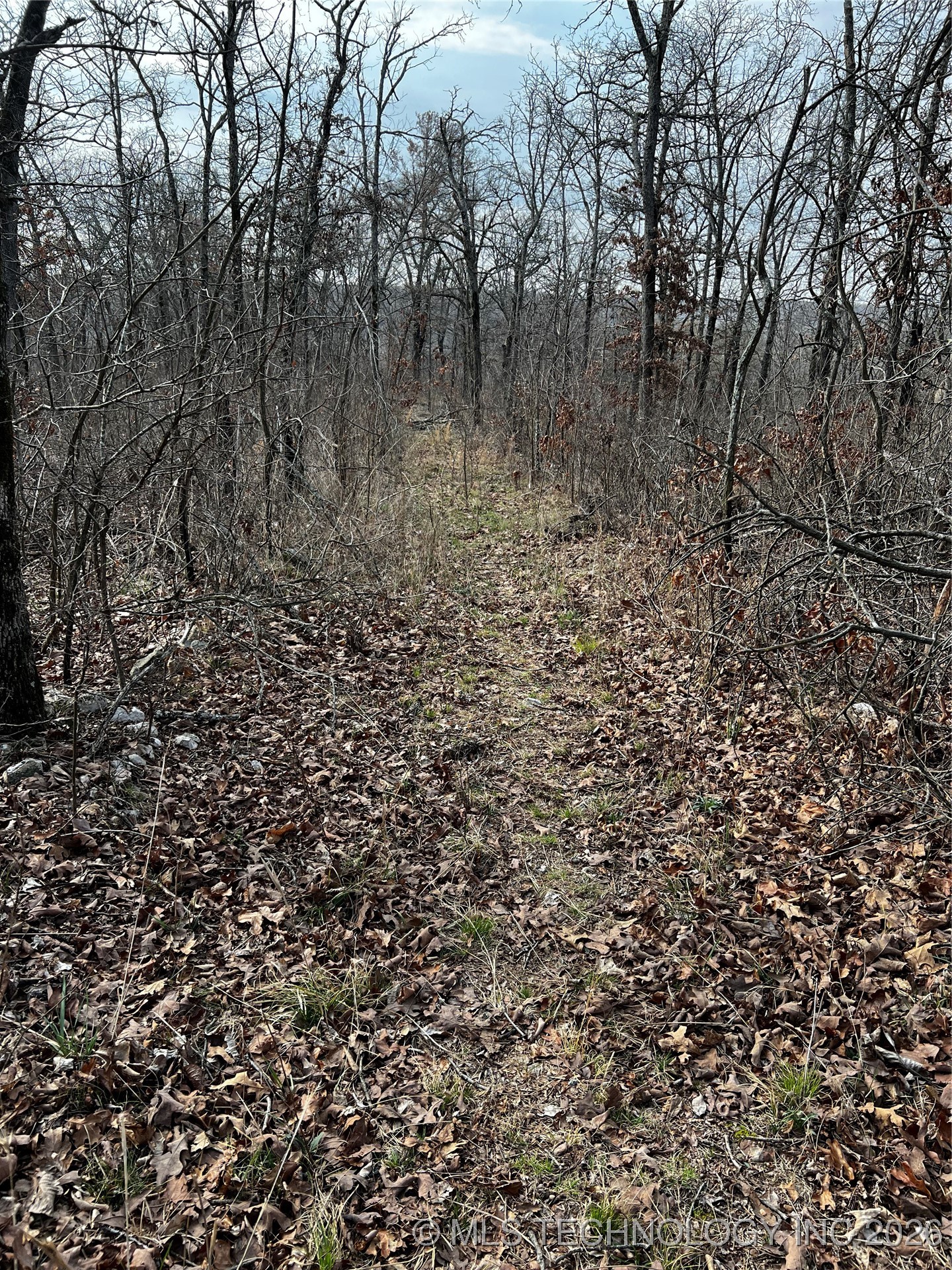 485 Property Photo 38