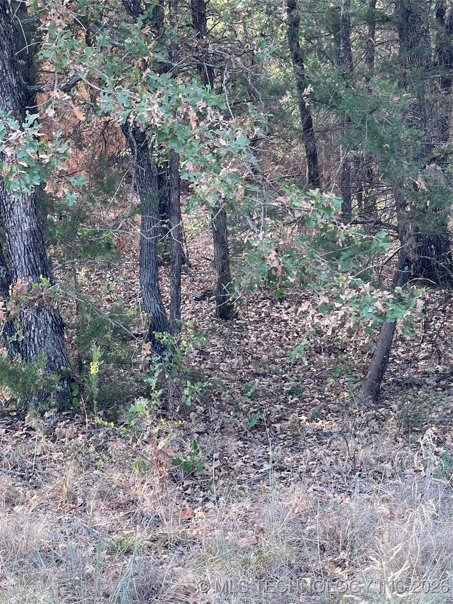 2607 S Mckenzie Property Photo 2