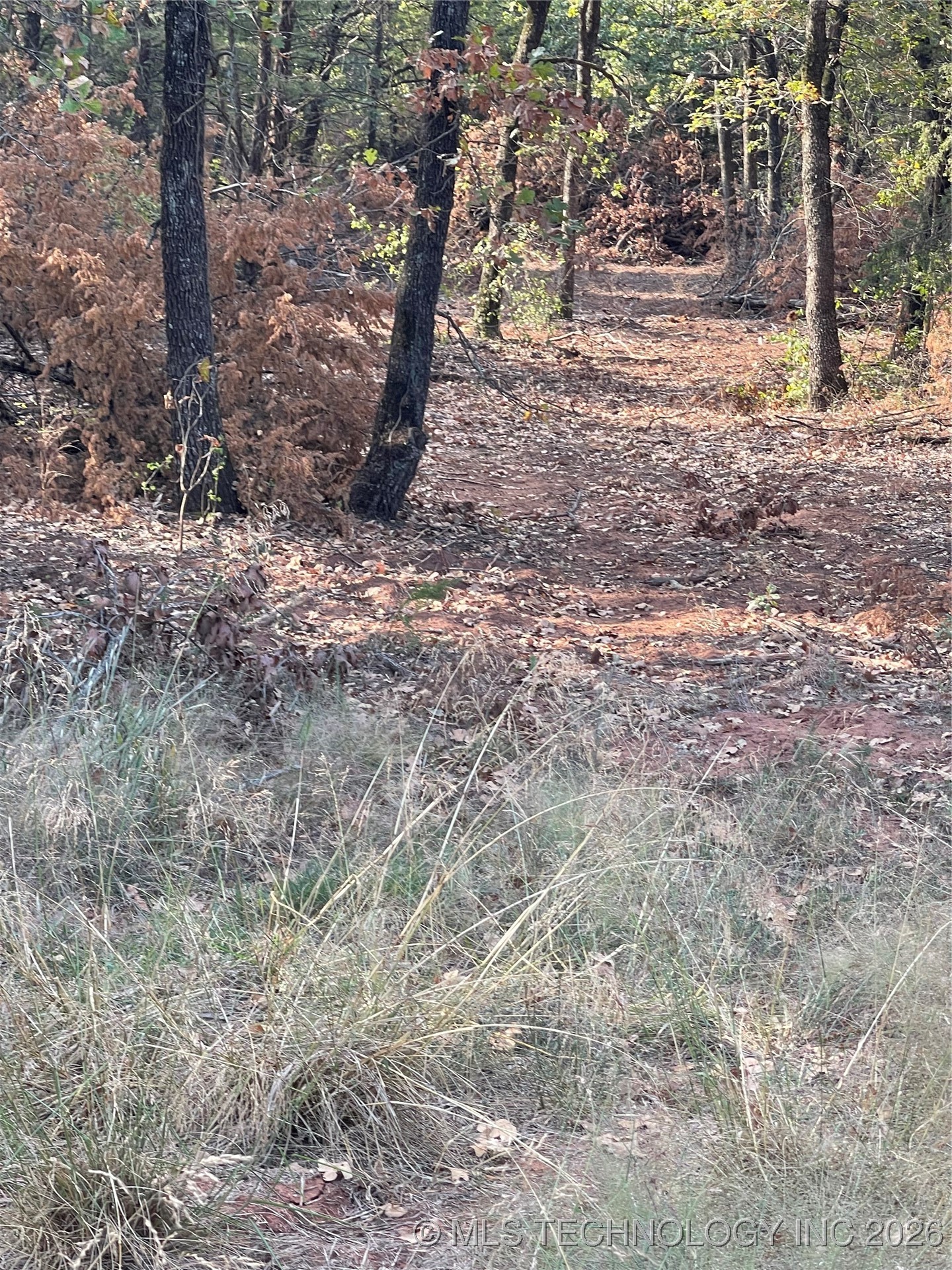 2607 S Mckenzie Property Photo 3