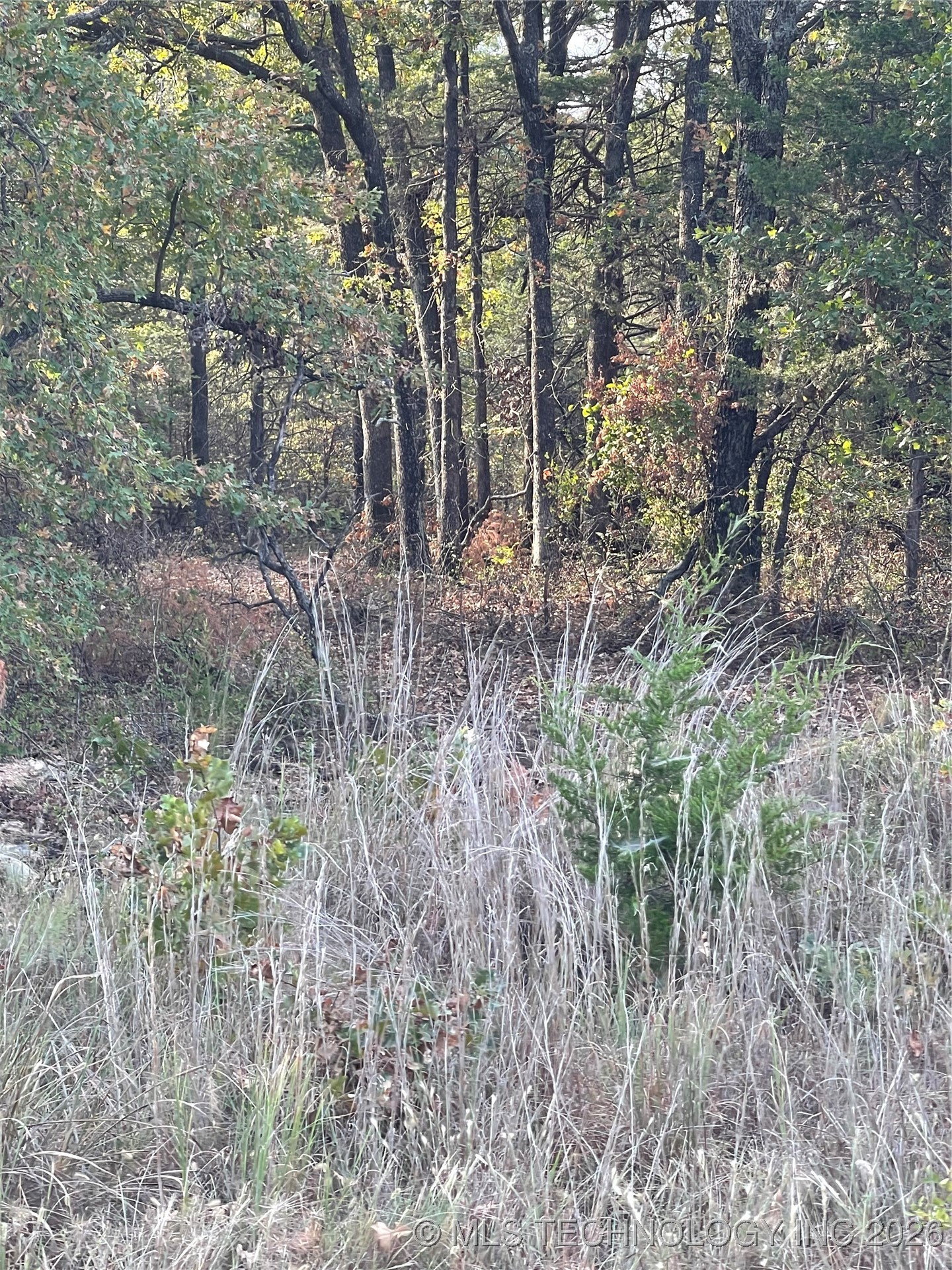 2611 S Mckenzie Property Photo 2