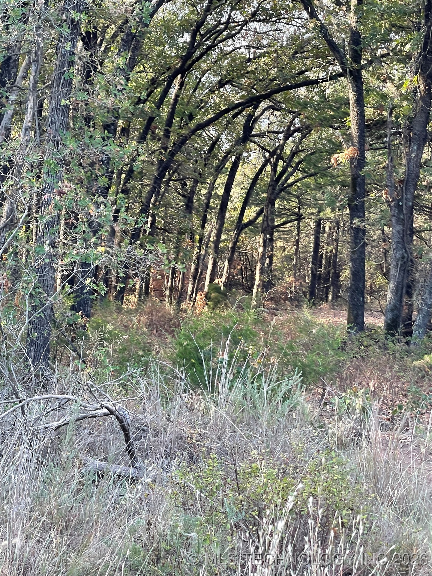 2611 S Mckenzie Property Photo 3