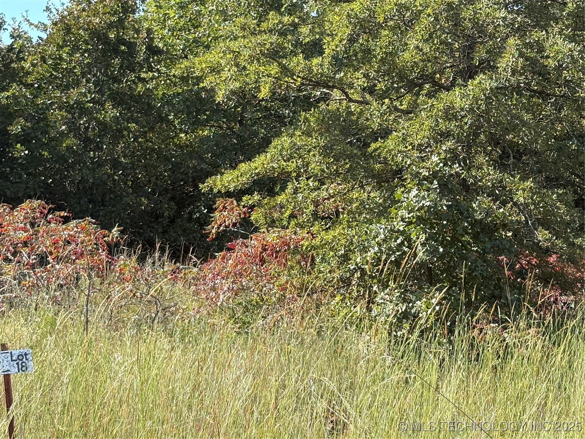 2615 S Mckenzie Property Photo 2