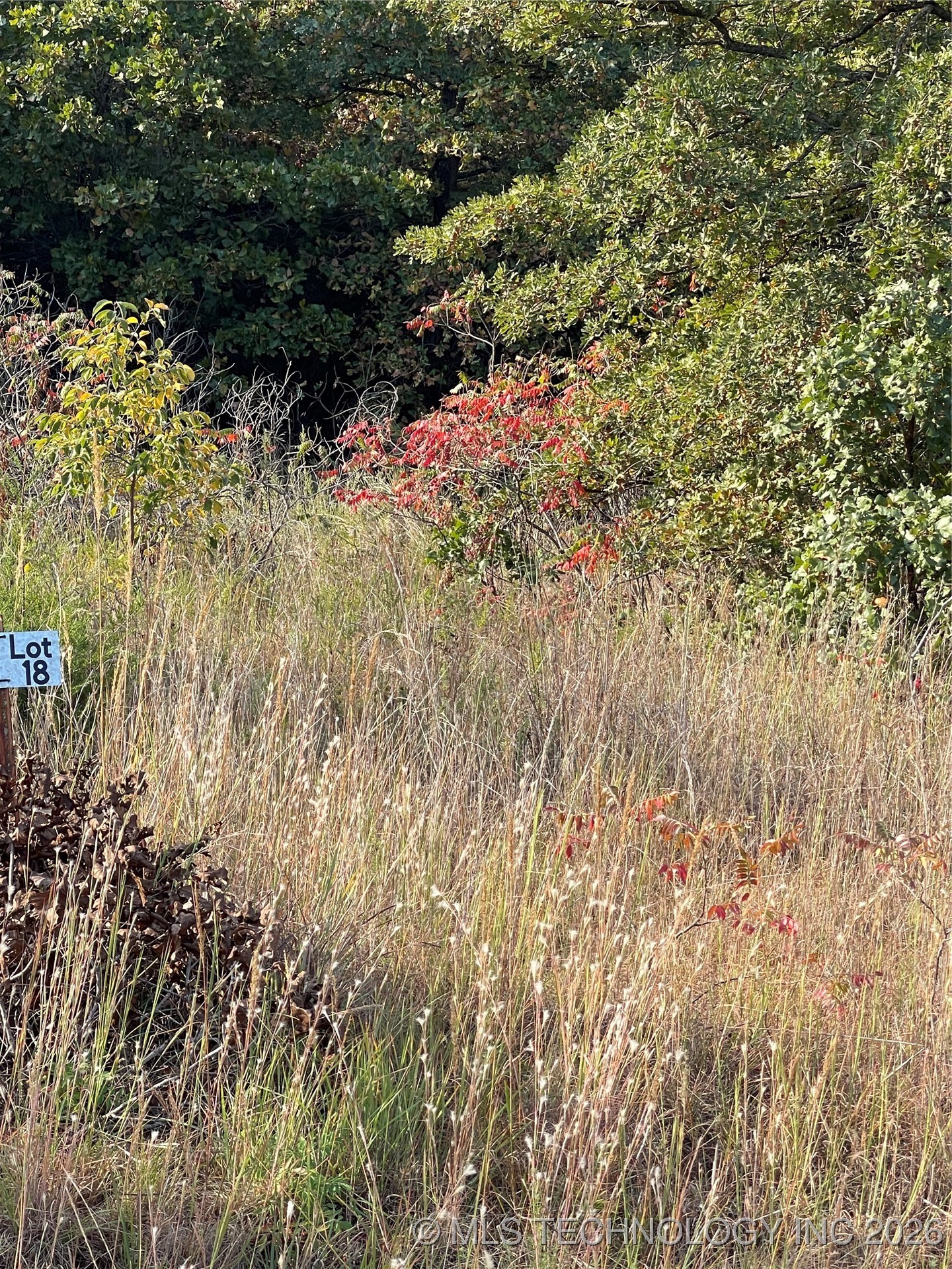 2615 S Mckenzie Property Photo 3