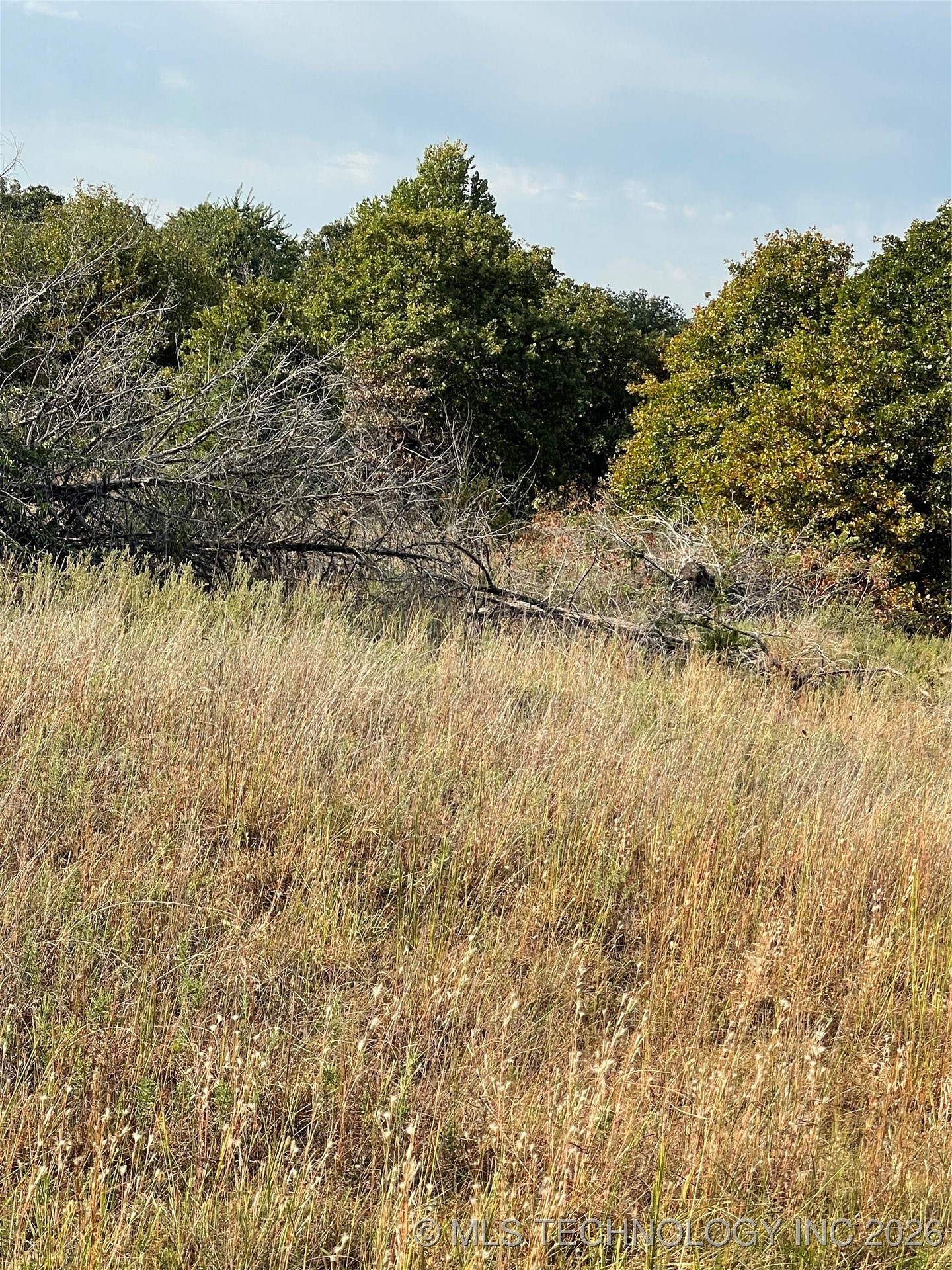 2619 S Mckenzie Property Photo 2