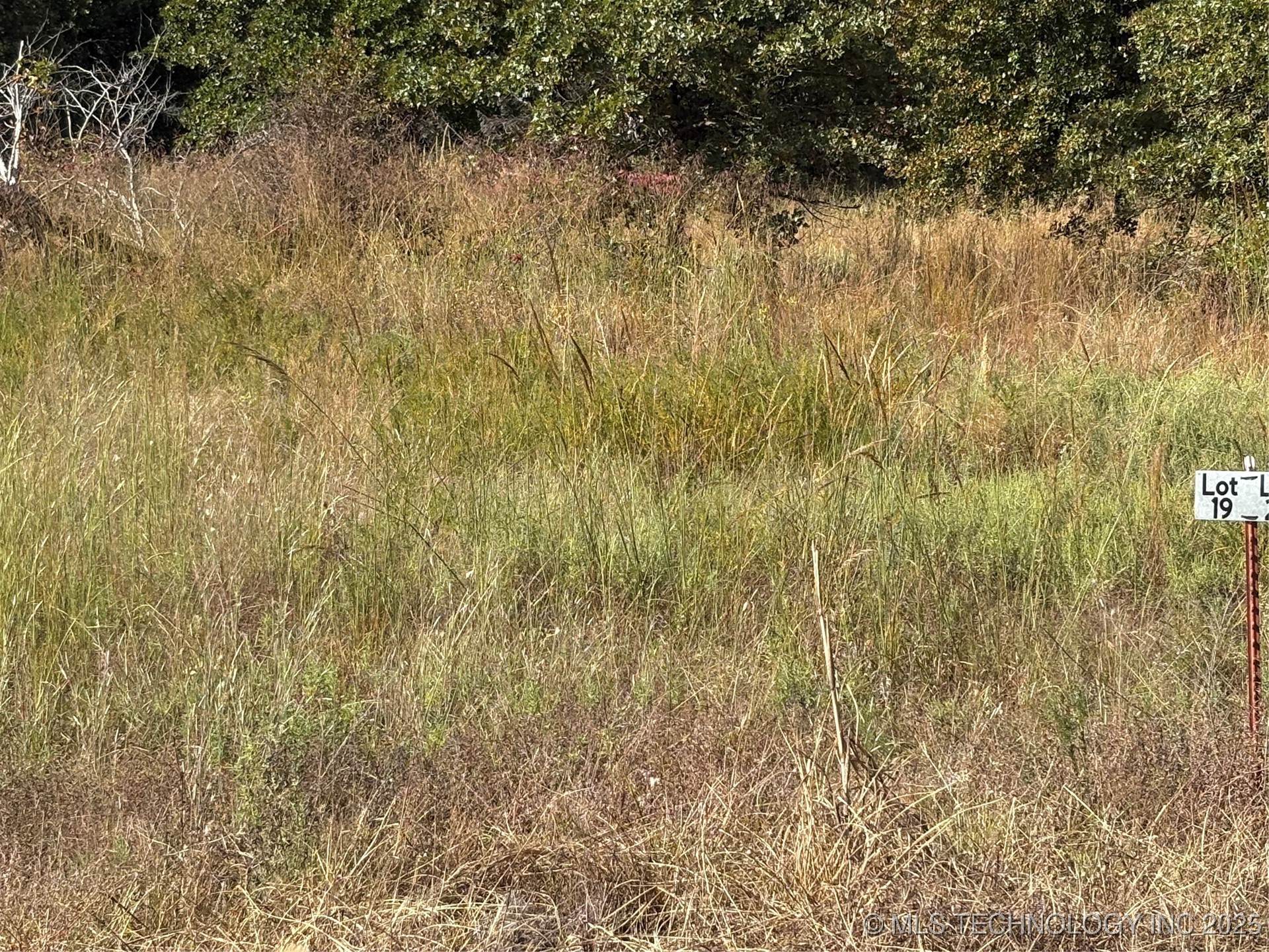 2619 S Mckenzie Property Photo 3