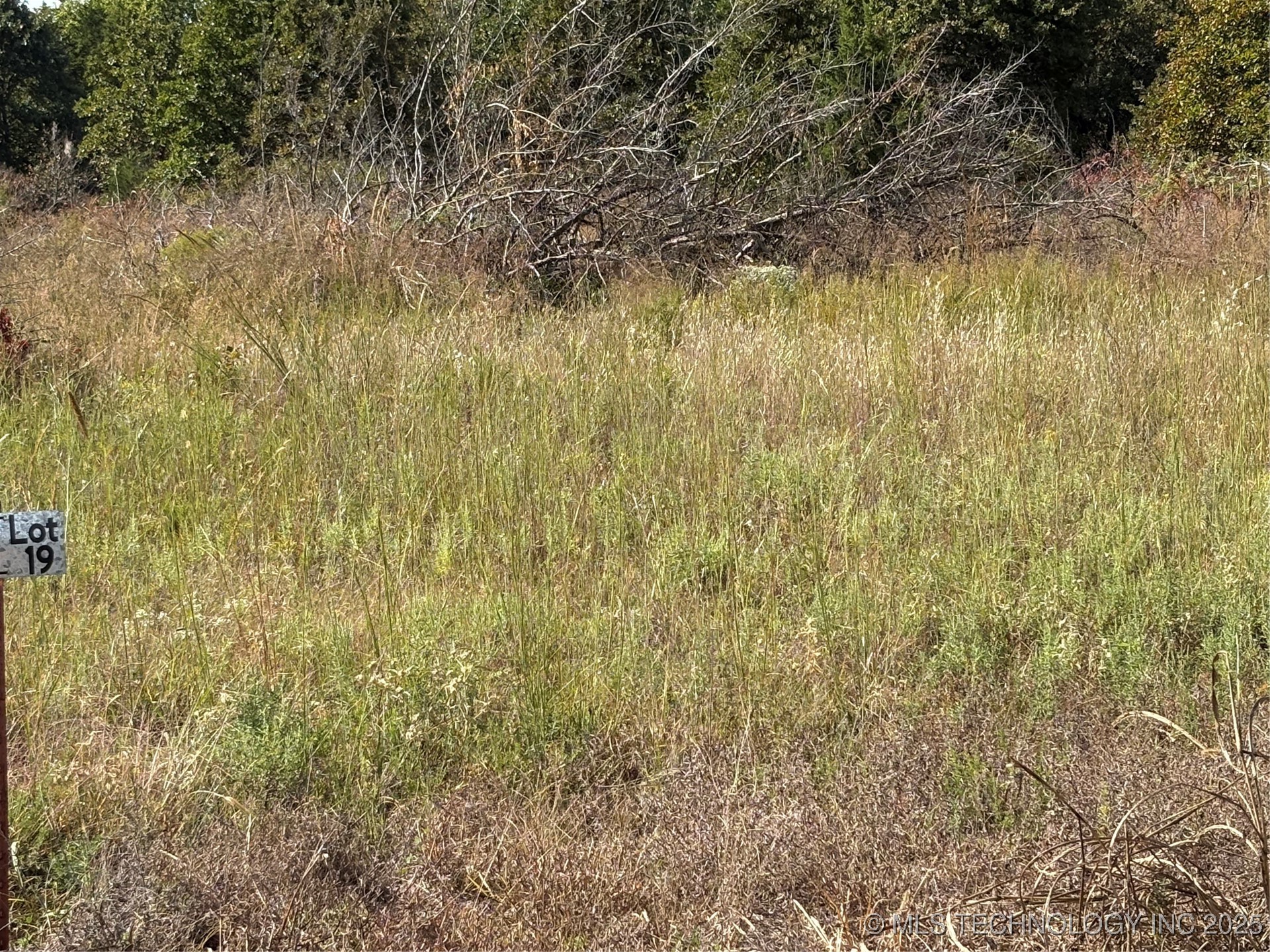 2619 S Mckenzie Property Photo 4