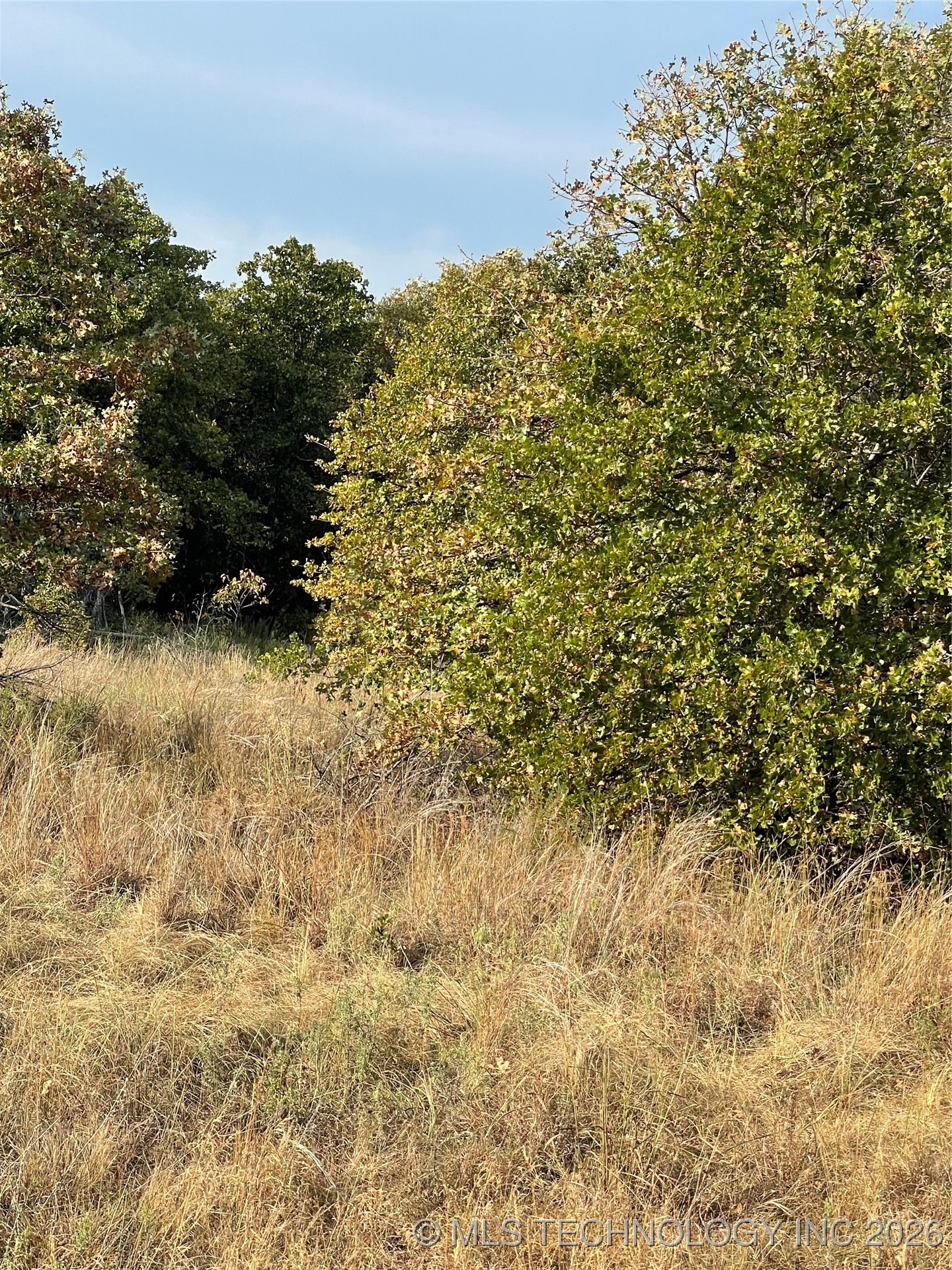 2623 S Mckenzie Property Photo 2