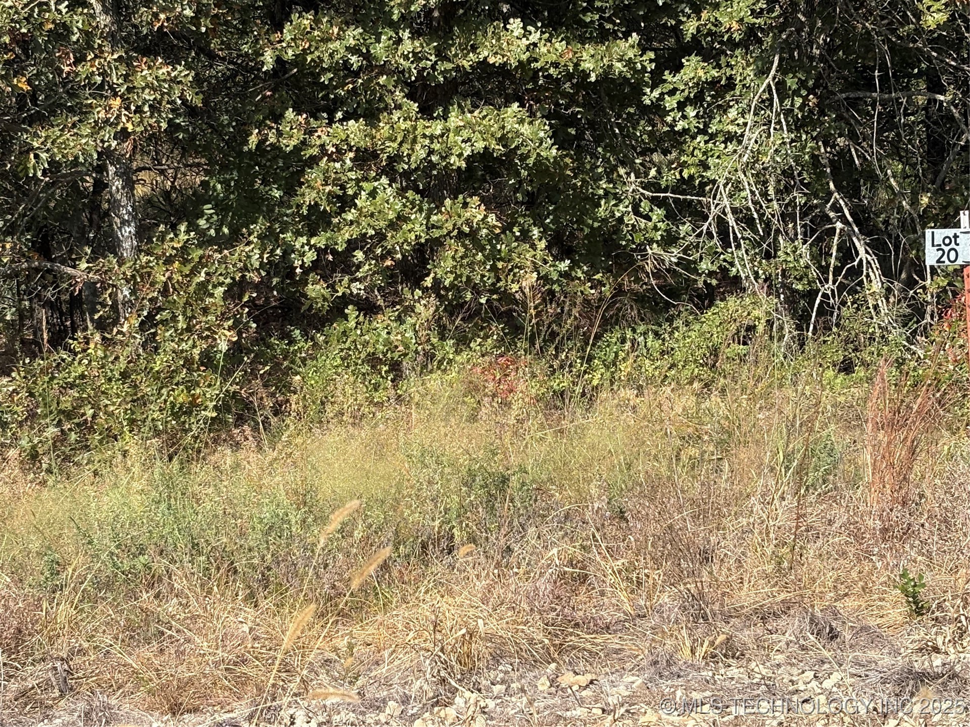 2623 S Mckenzie Property Photo 5