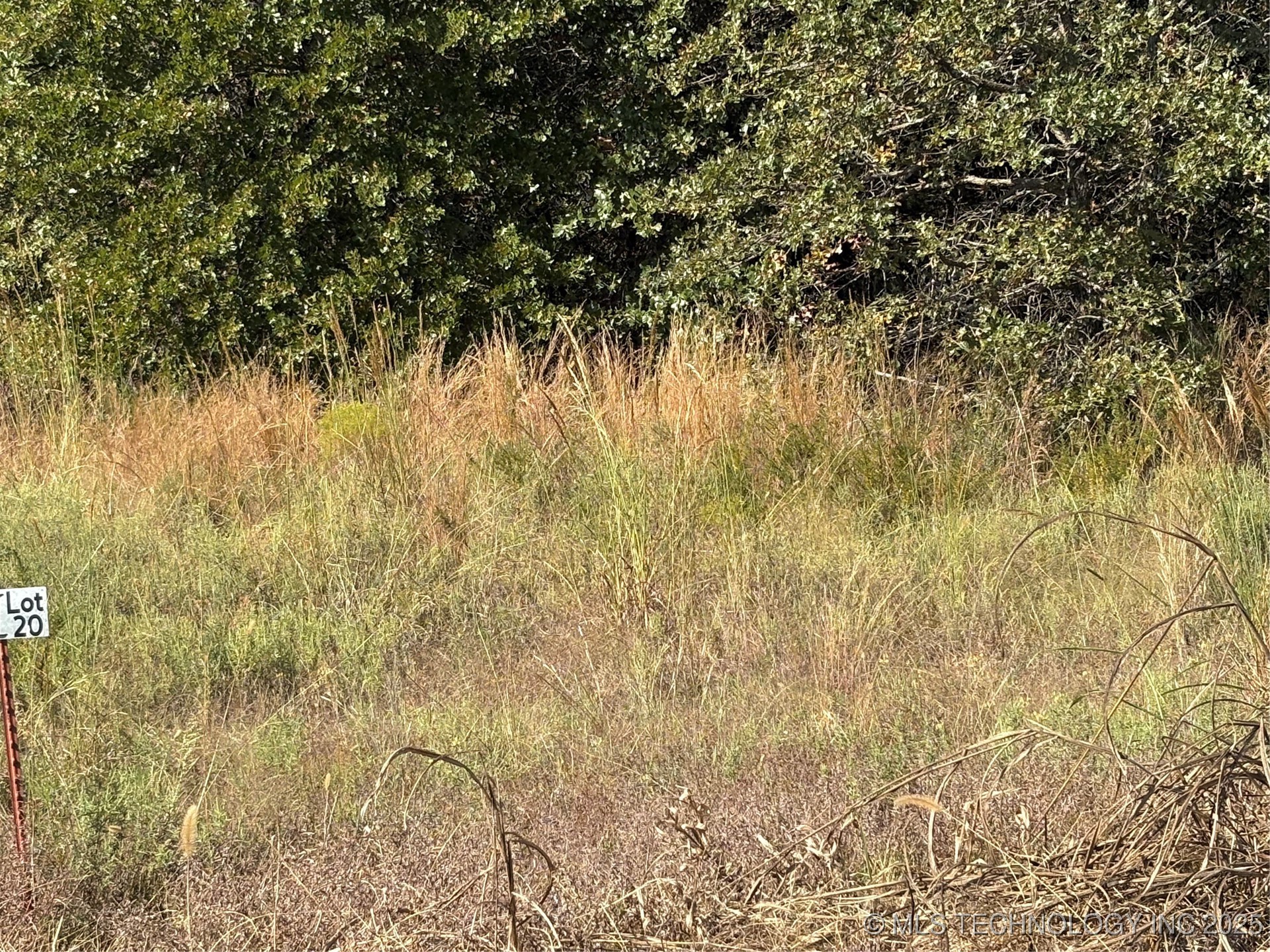 2623 S Mckenzie Property Photo 6