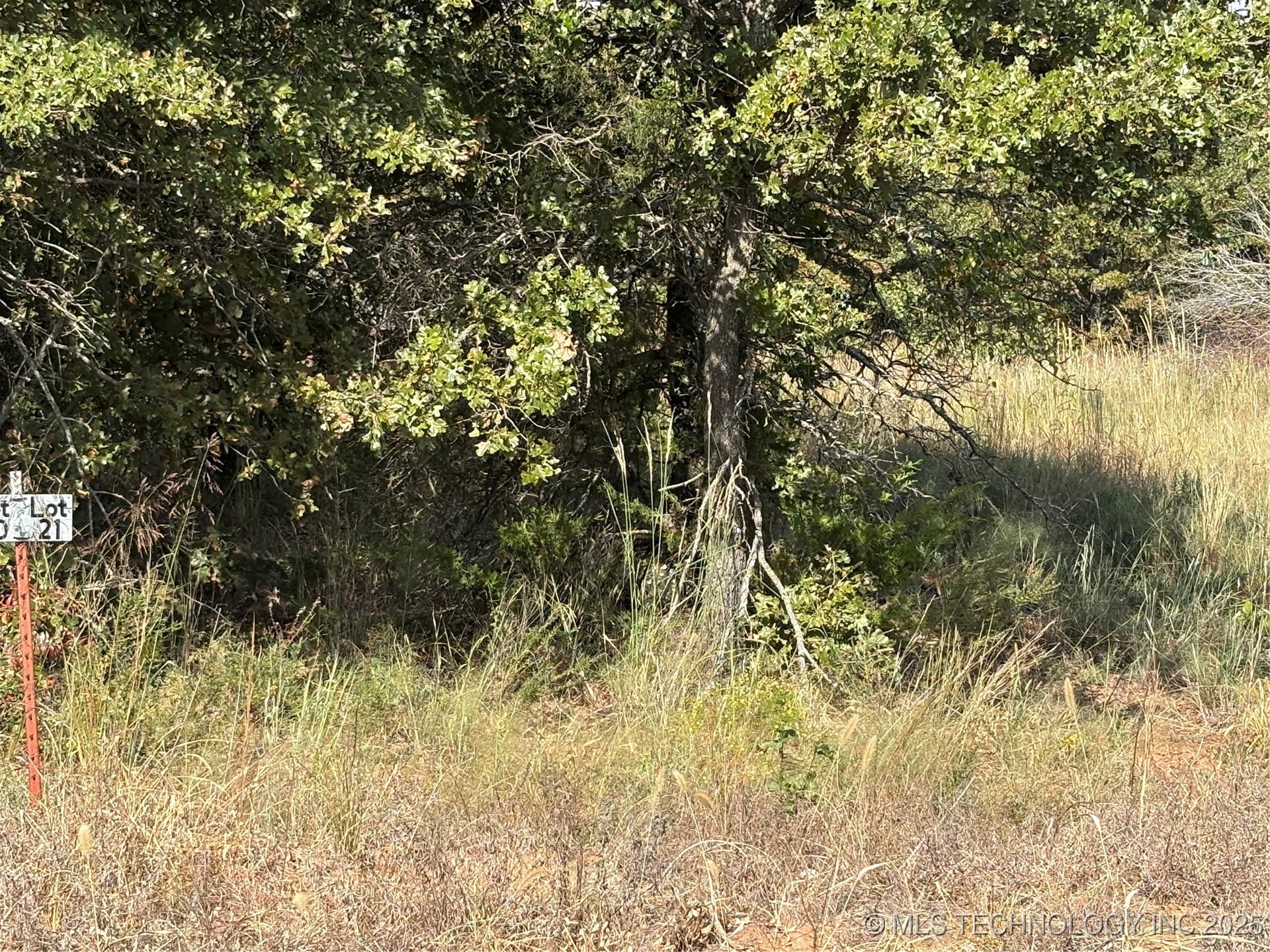 2620 S Mckenzie Property Photo 1