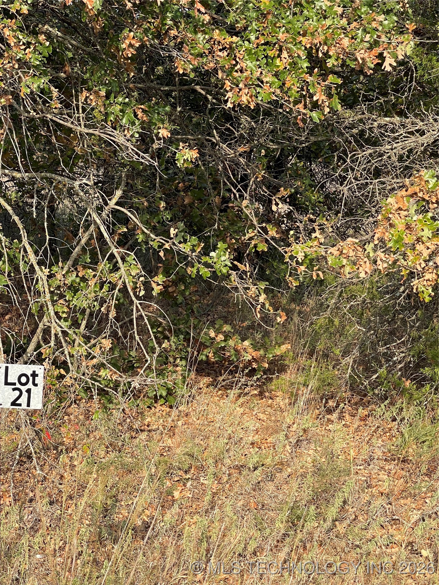 2620 S Mckenzie Property Photo 2