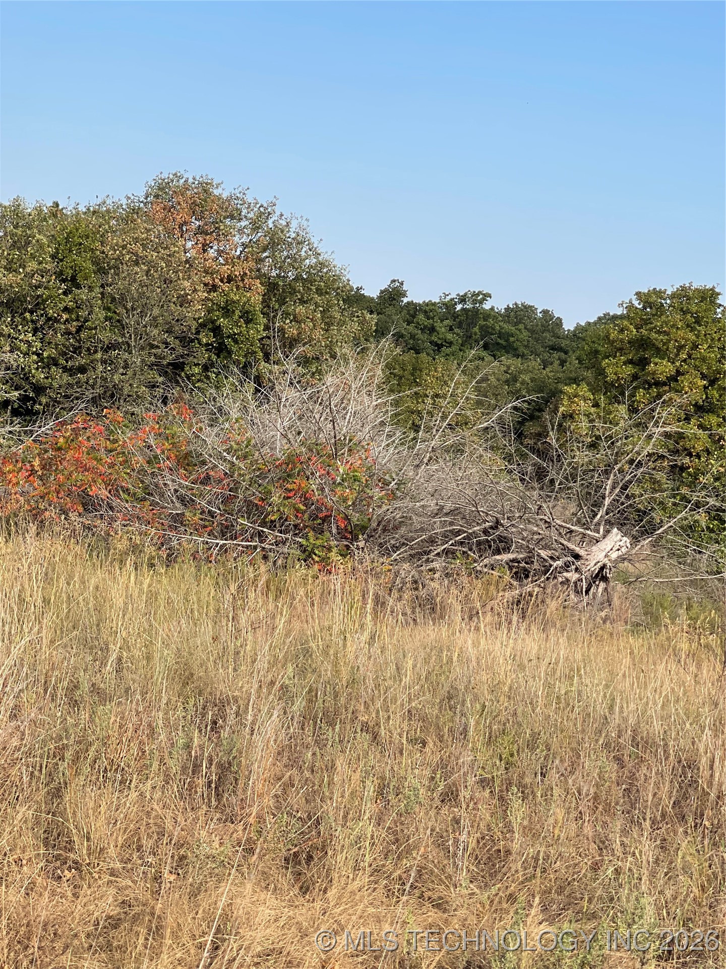 2620 S Mckenzie Property Photo 3