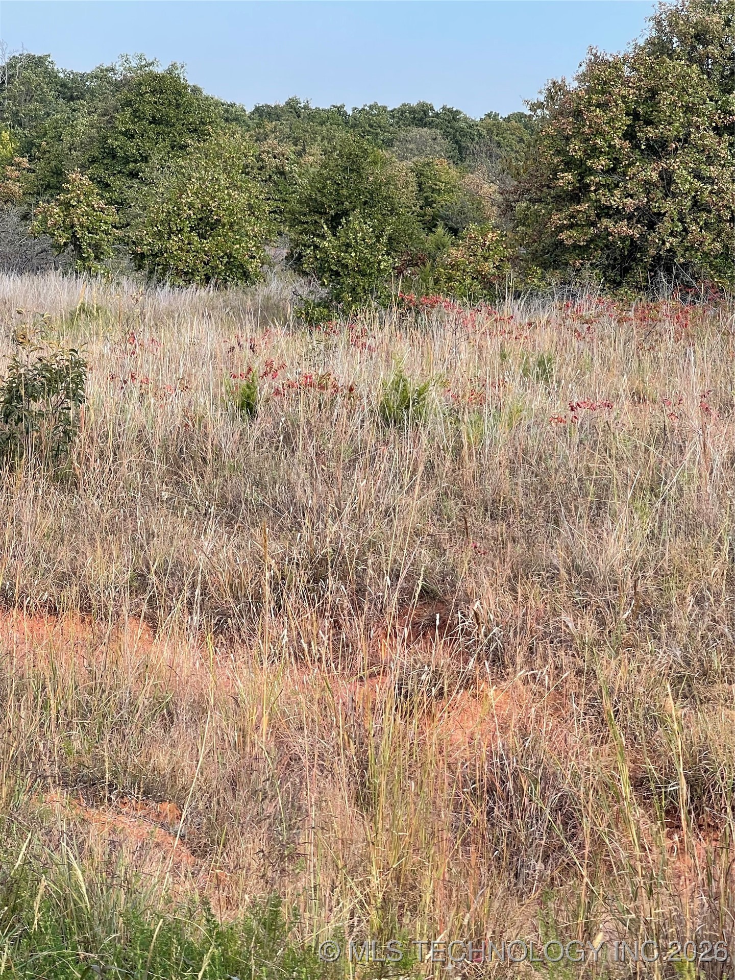 2616 S Mckenzie Property Photo 3