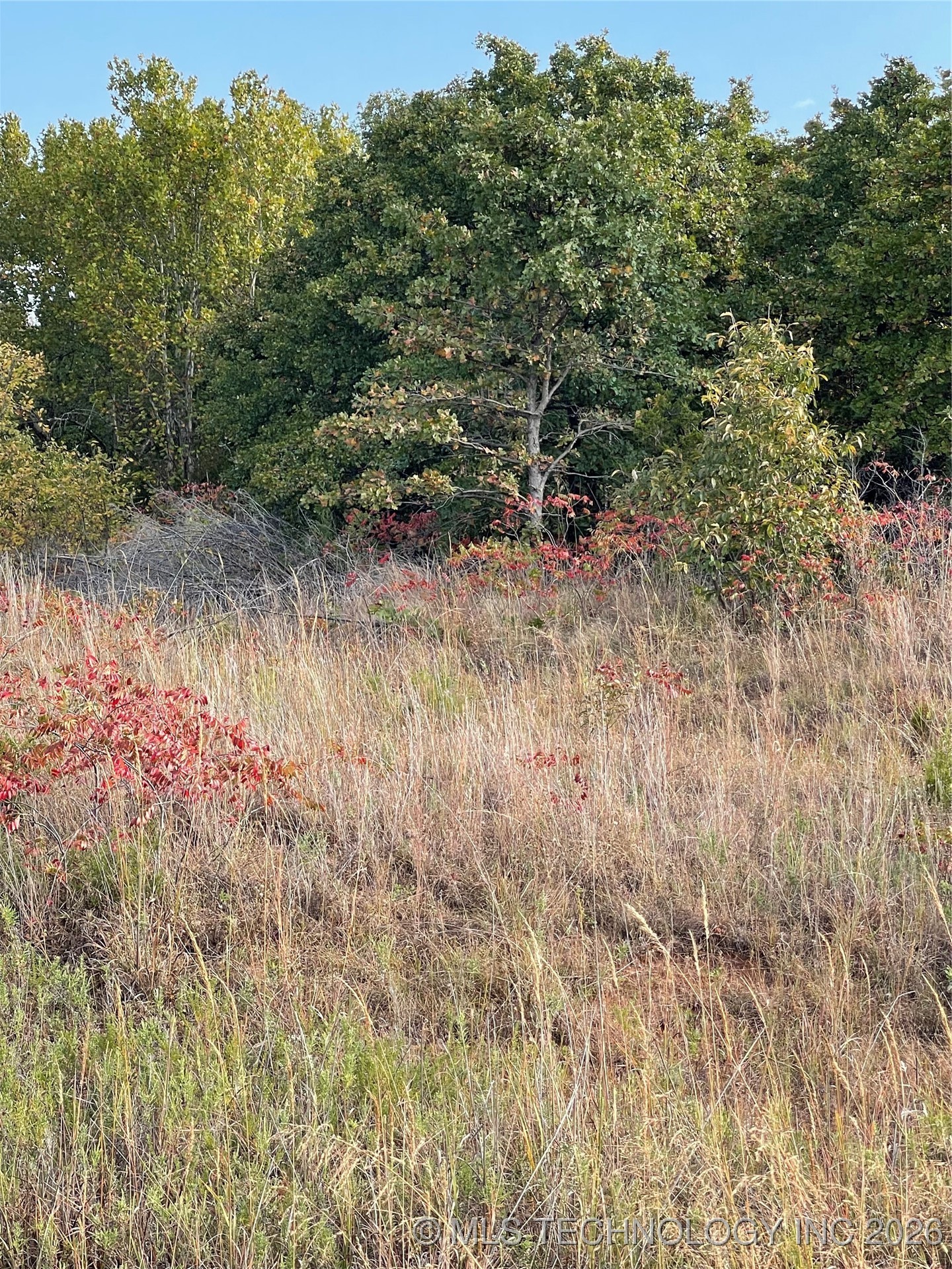 2616 S Mckenzie Property Photo 4