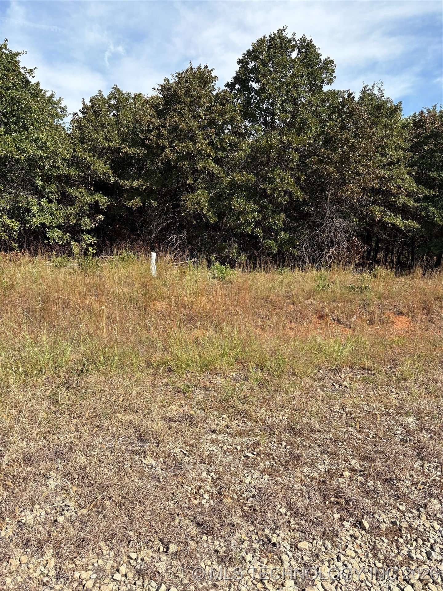 2616 S Mckenzie Property Photo 6