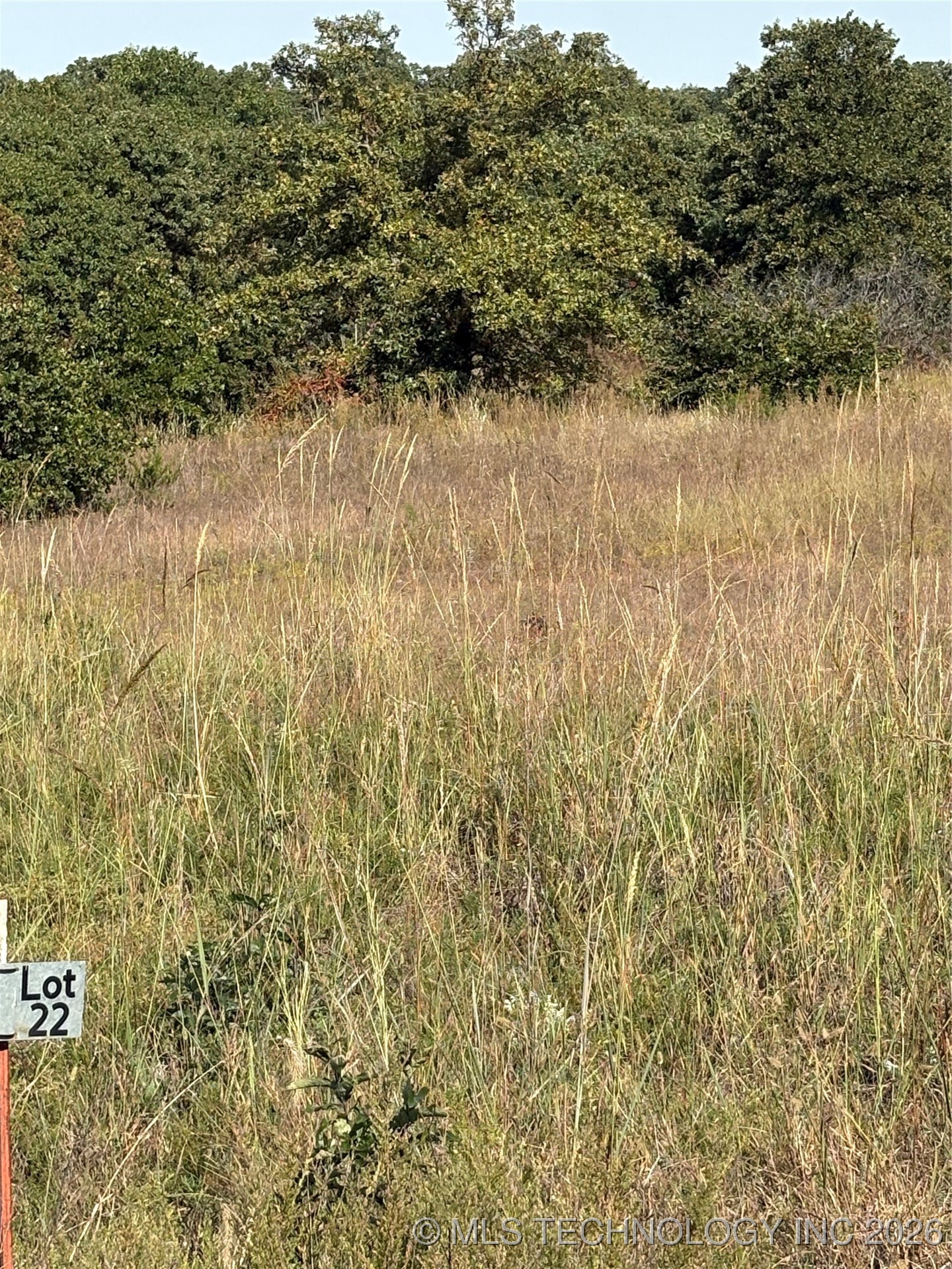 2616 S Mckenzie Property Photo 7