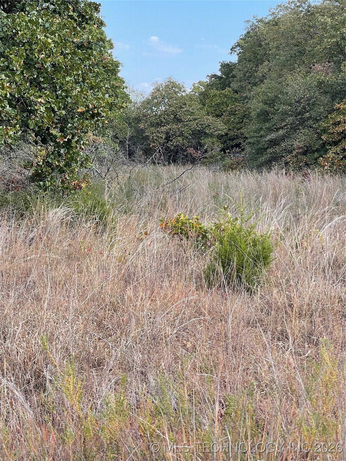 2612 S Mckenzie Property Photo 2