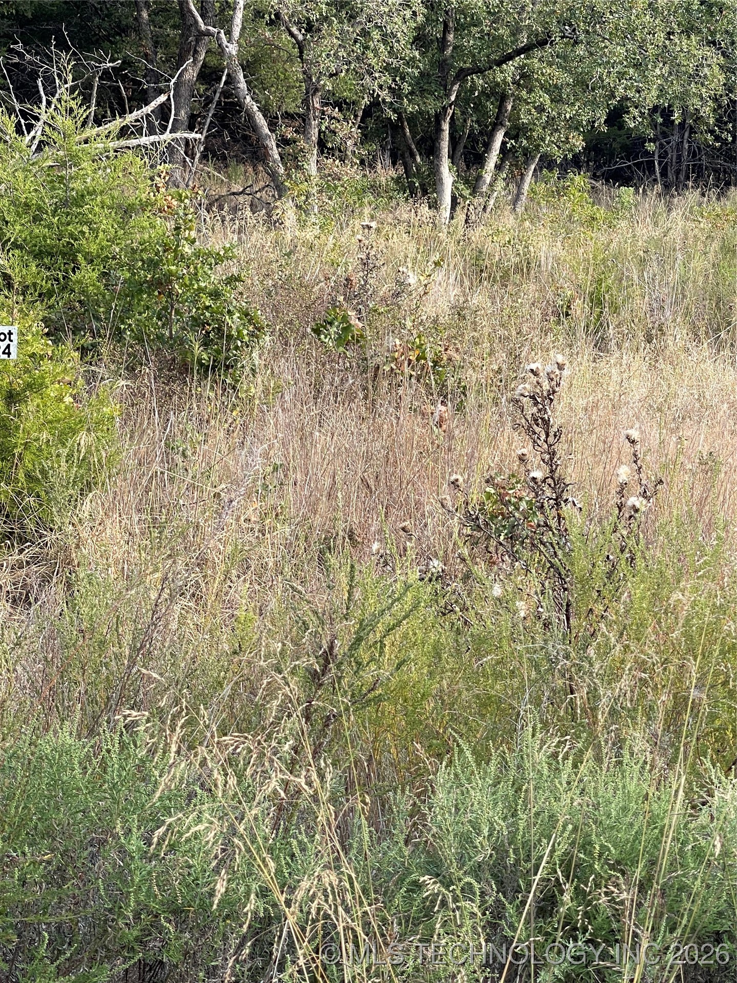 2608 S McKenzie Property Photo 1