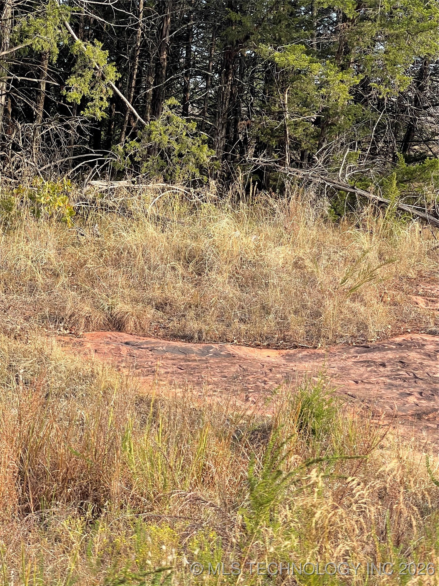 2608 S Mckenzie Property Photo 2