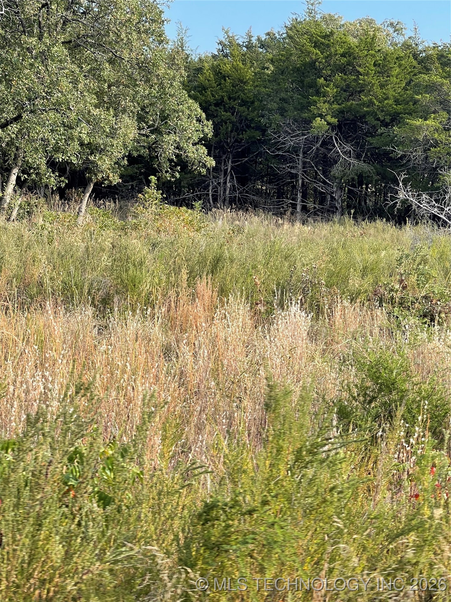 2608 S Mckenzie Property Photo 3