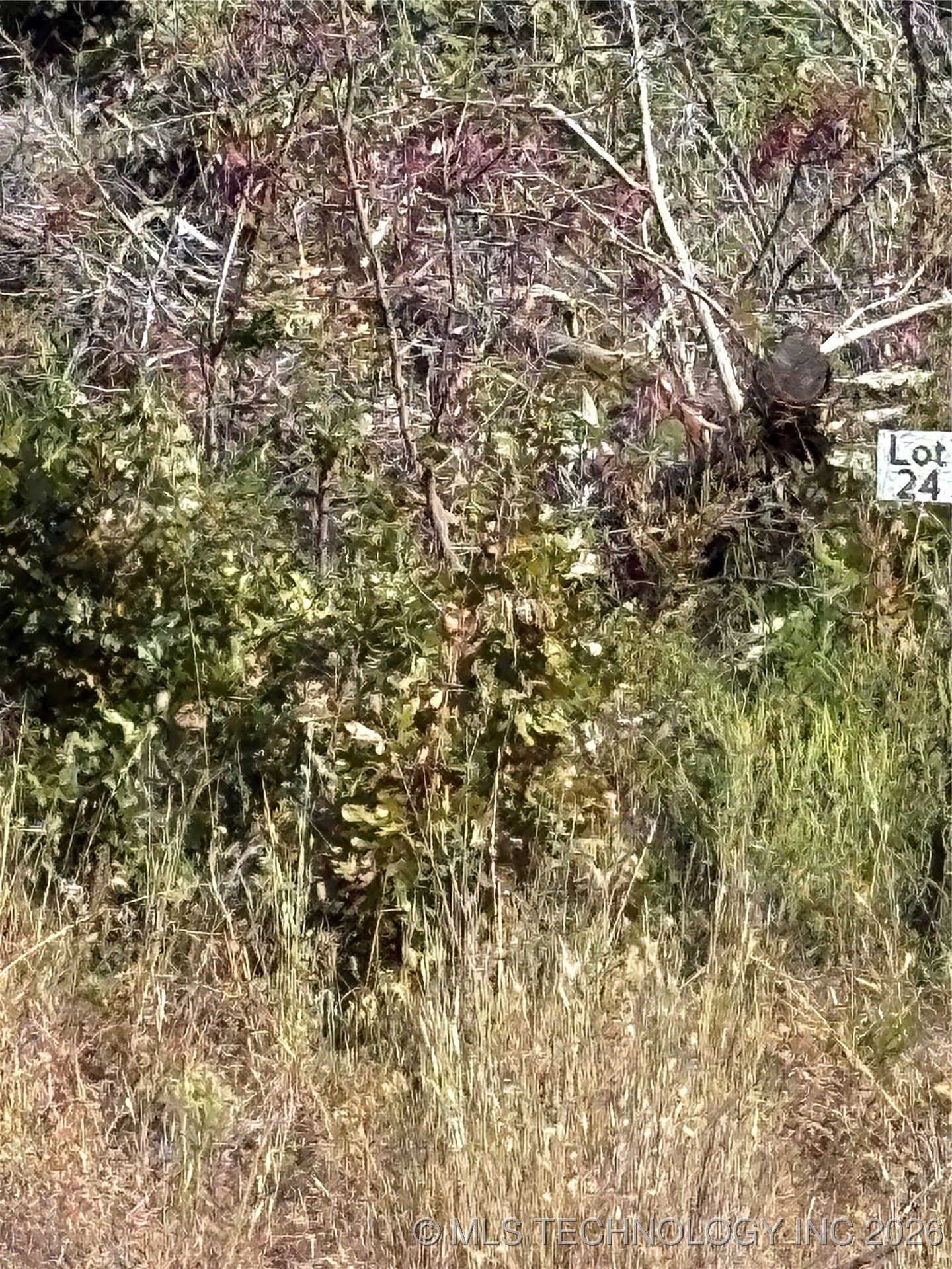 2608 S Mckenzie Property Photo 5