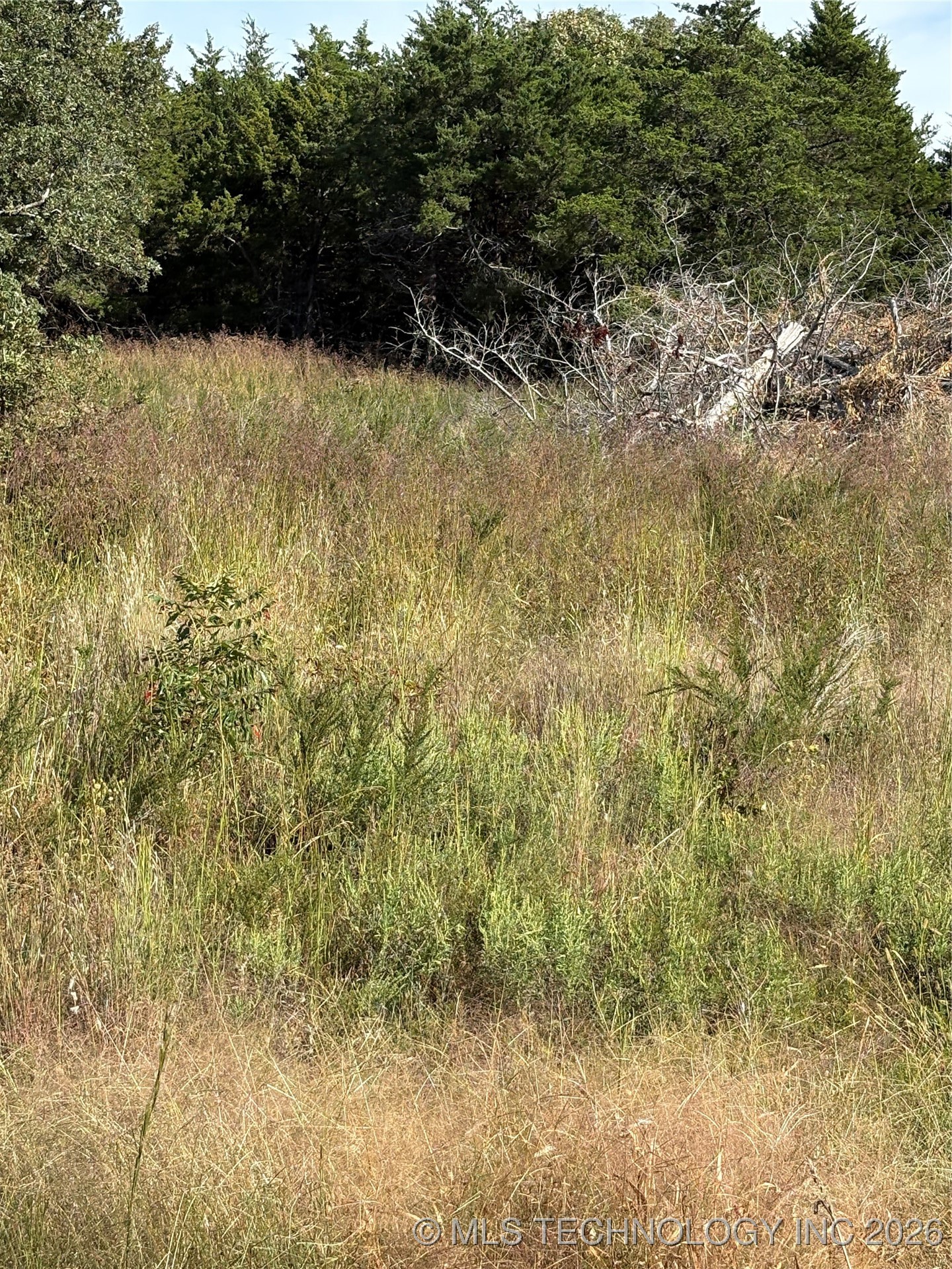 2608 S Mckenzie Property Photo 6