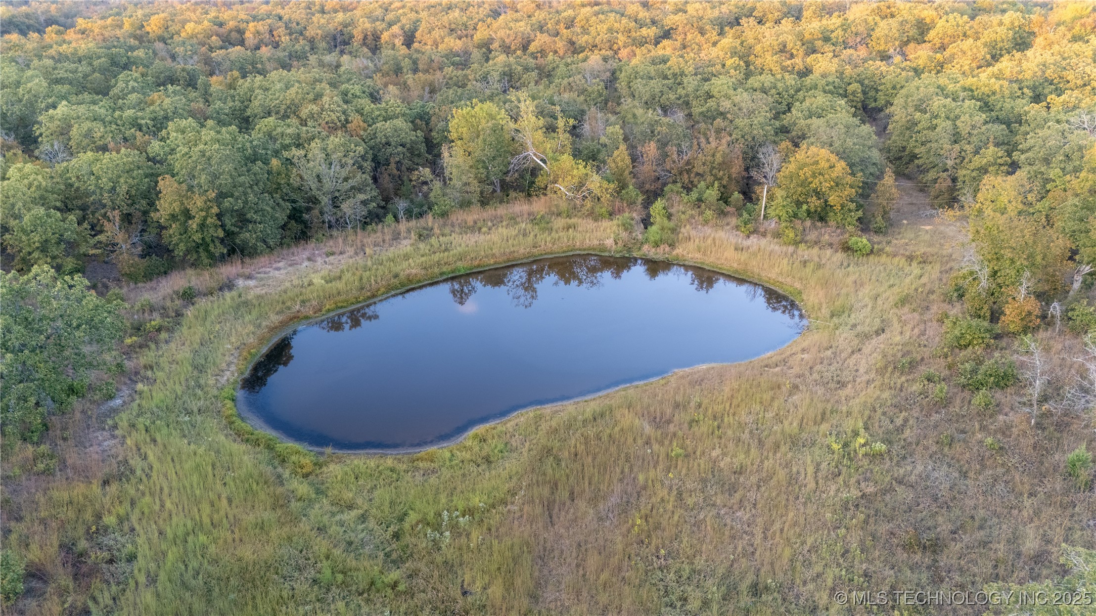 000 Highway 9 Property Photo 9