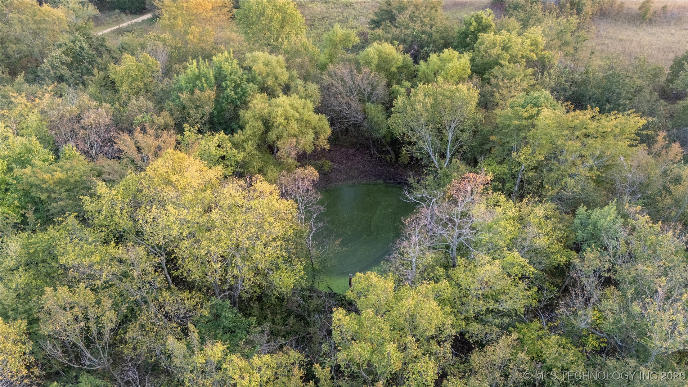 000 Highway 9 Property Photo 19