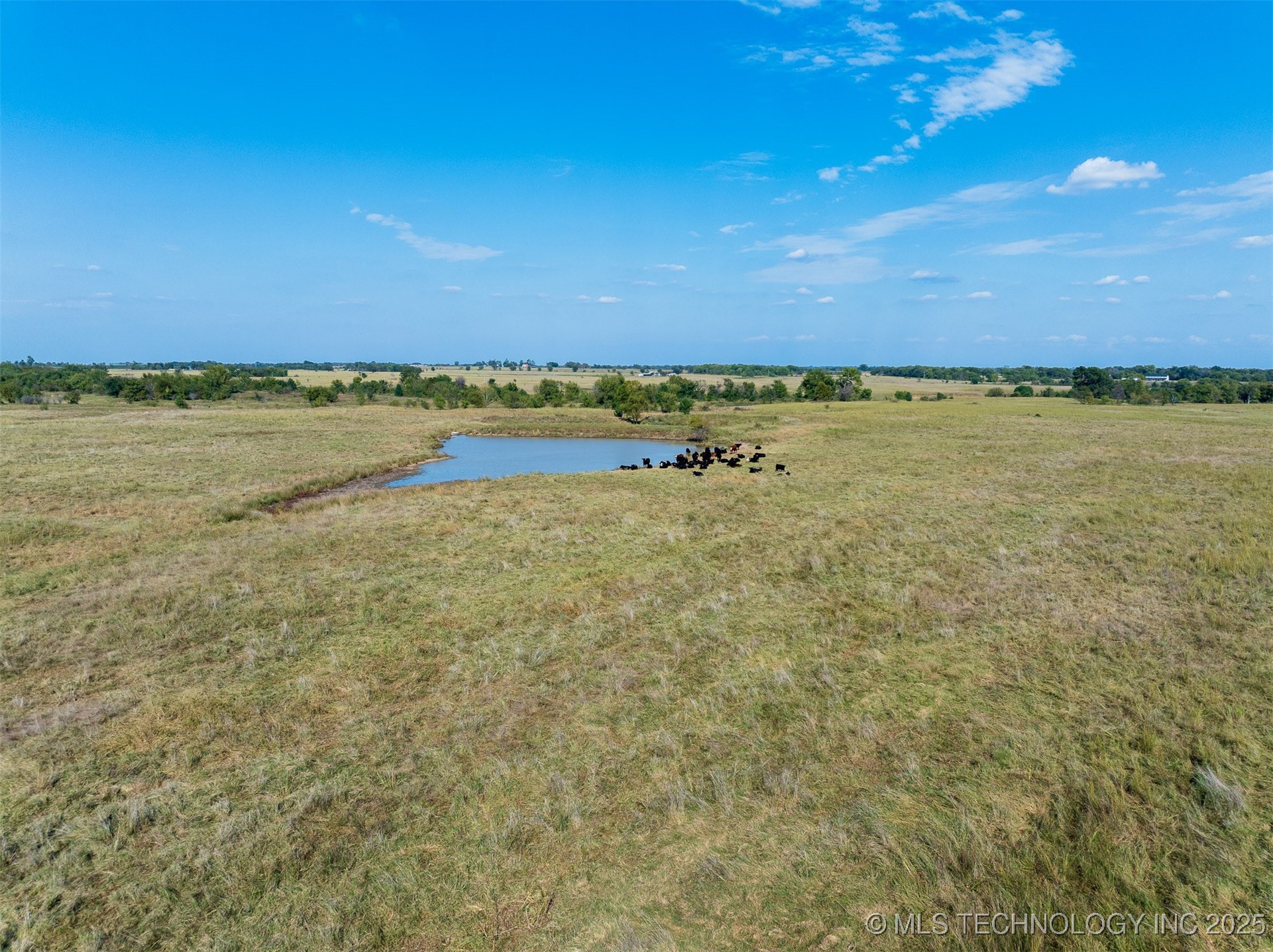 1 Ash Road Property Photo 38