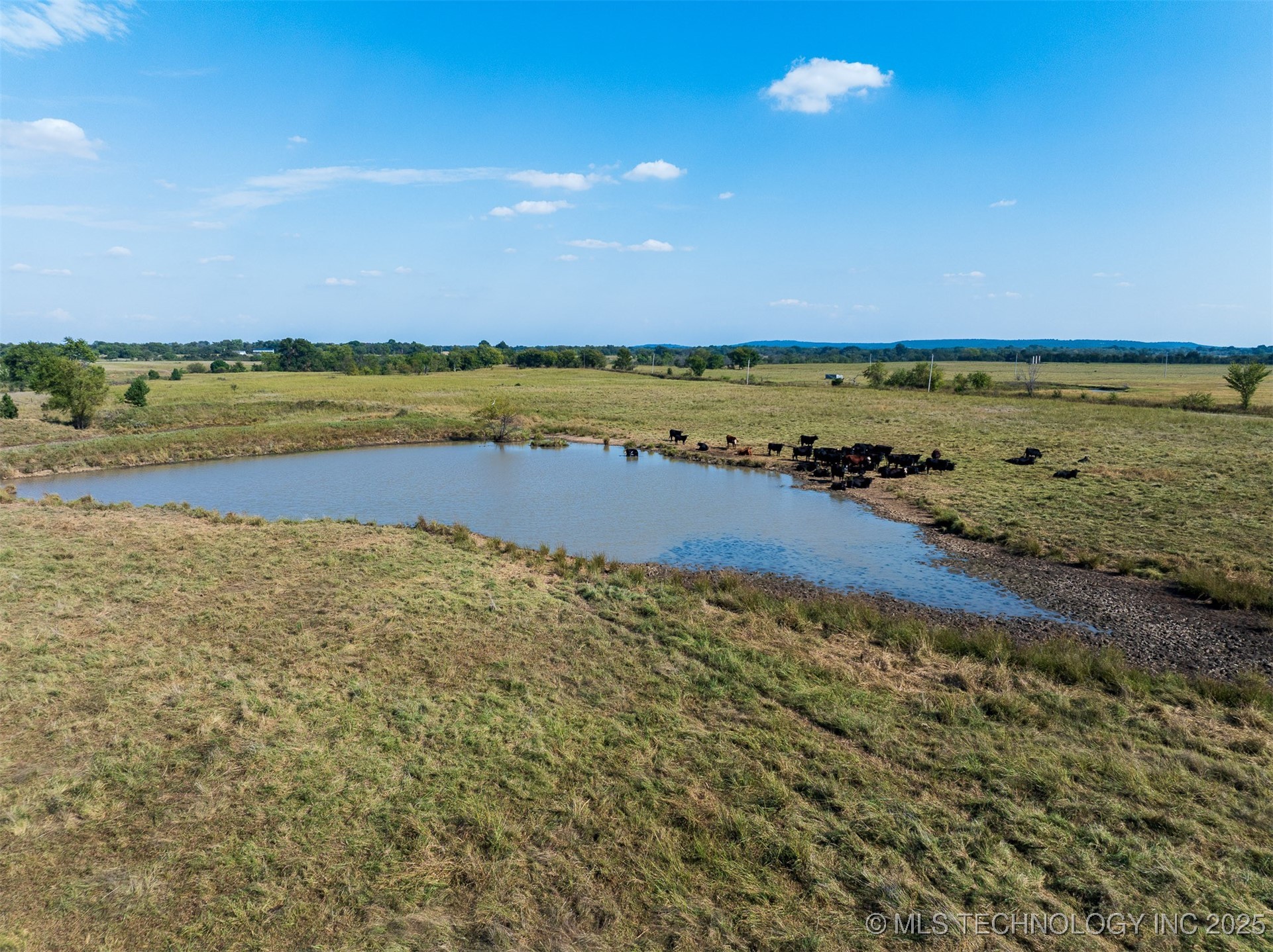 1 Ash Road Property Photo 49