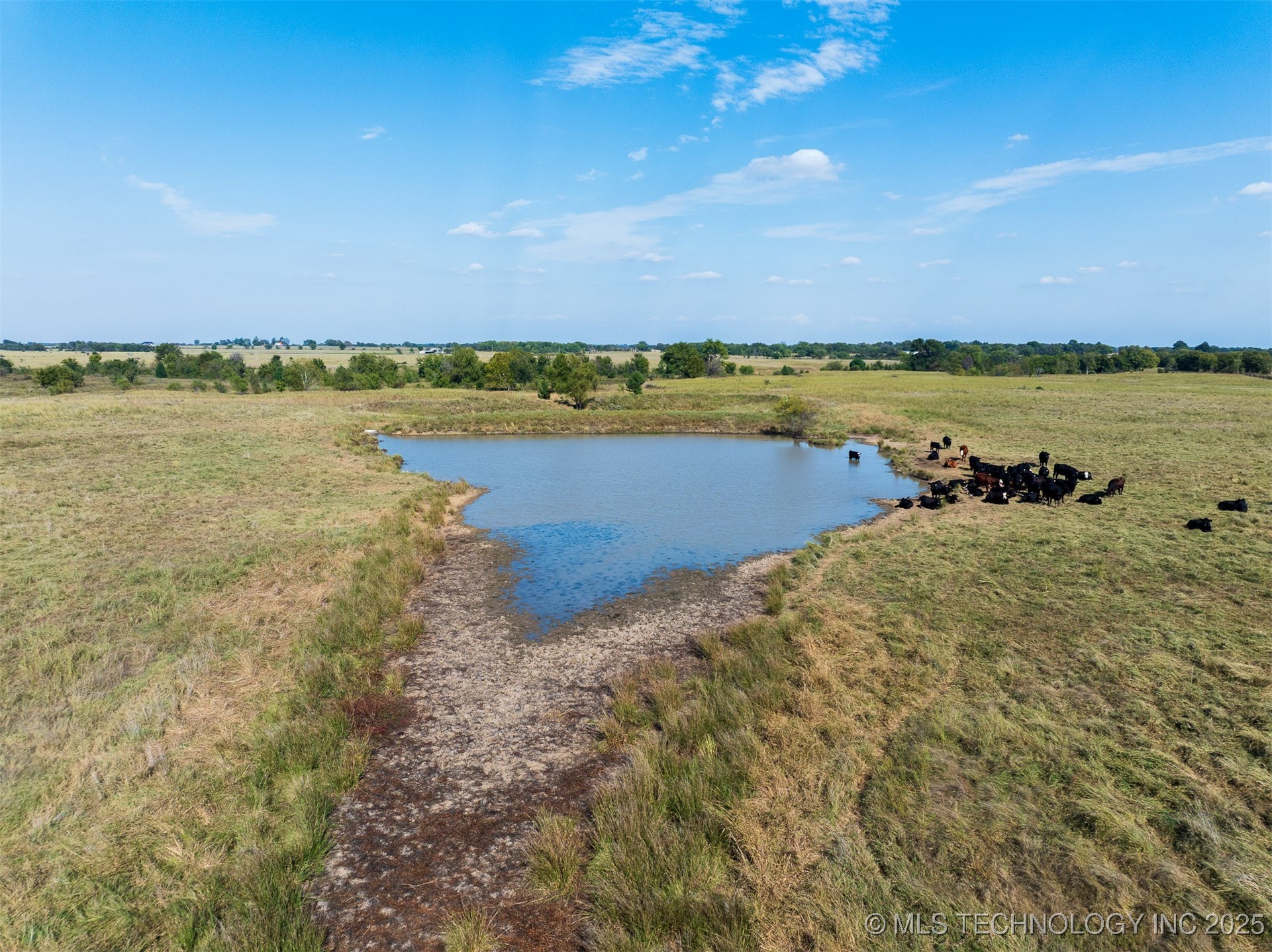1 Ash Road Property Photo 50