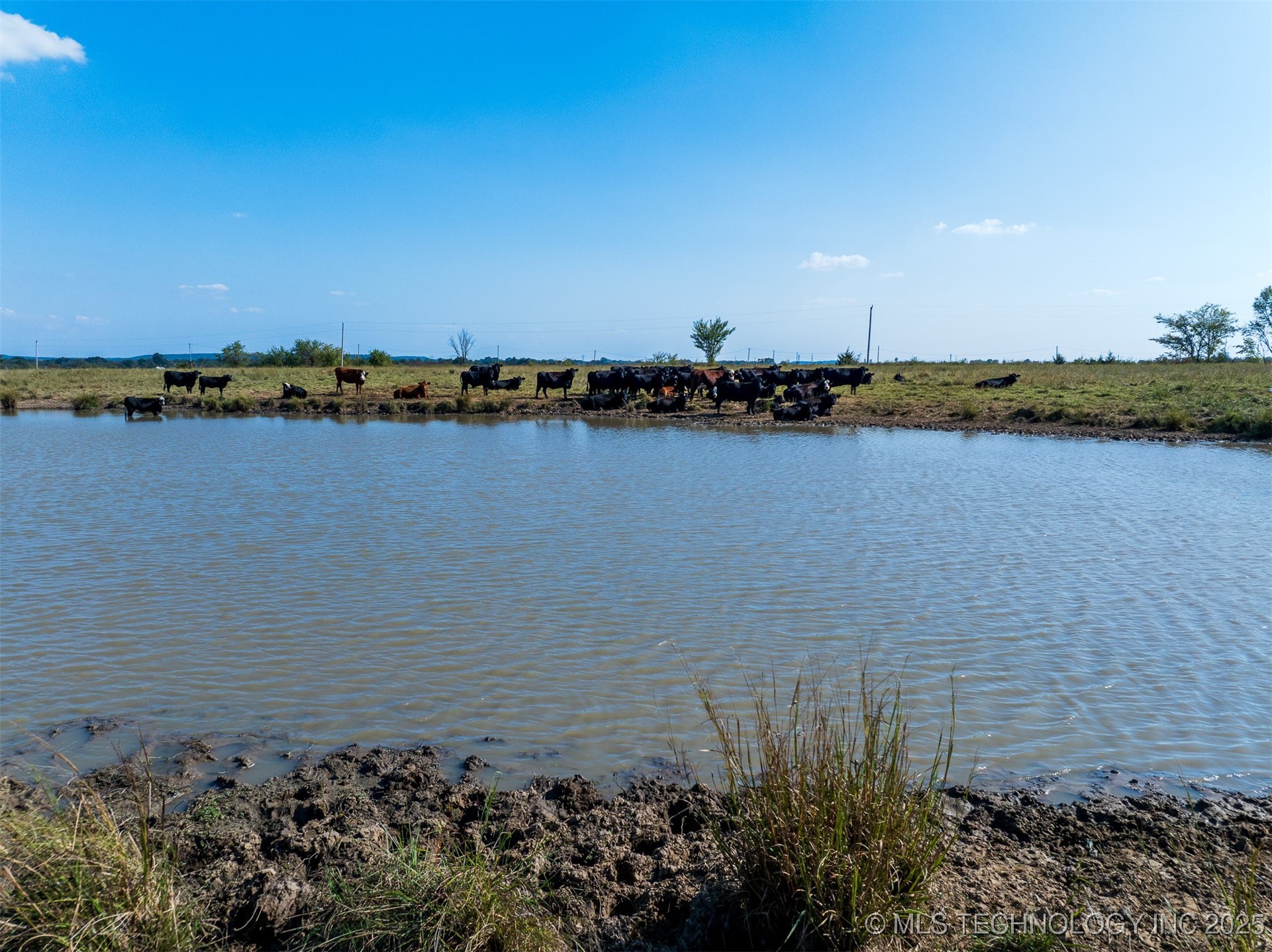 1 Ash Road Property Photo 53