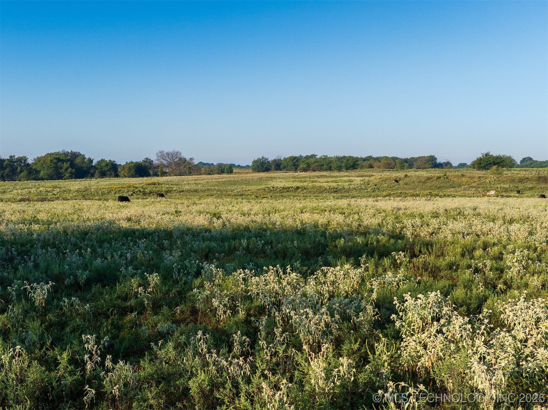 91 E 211th Street S Property Photo 67