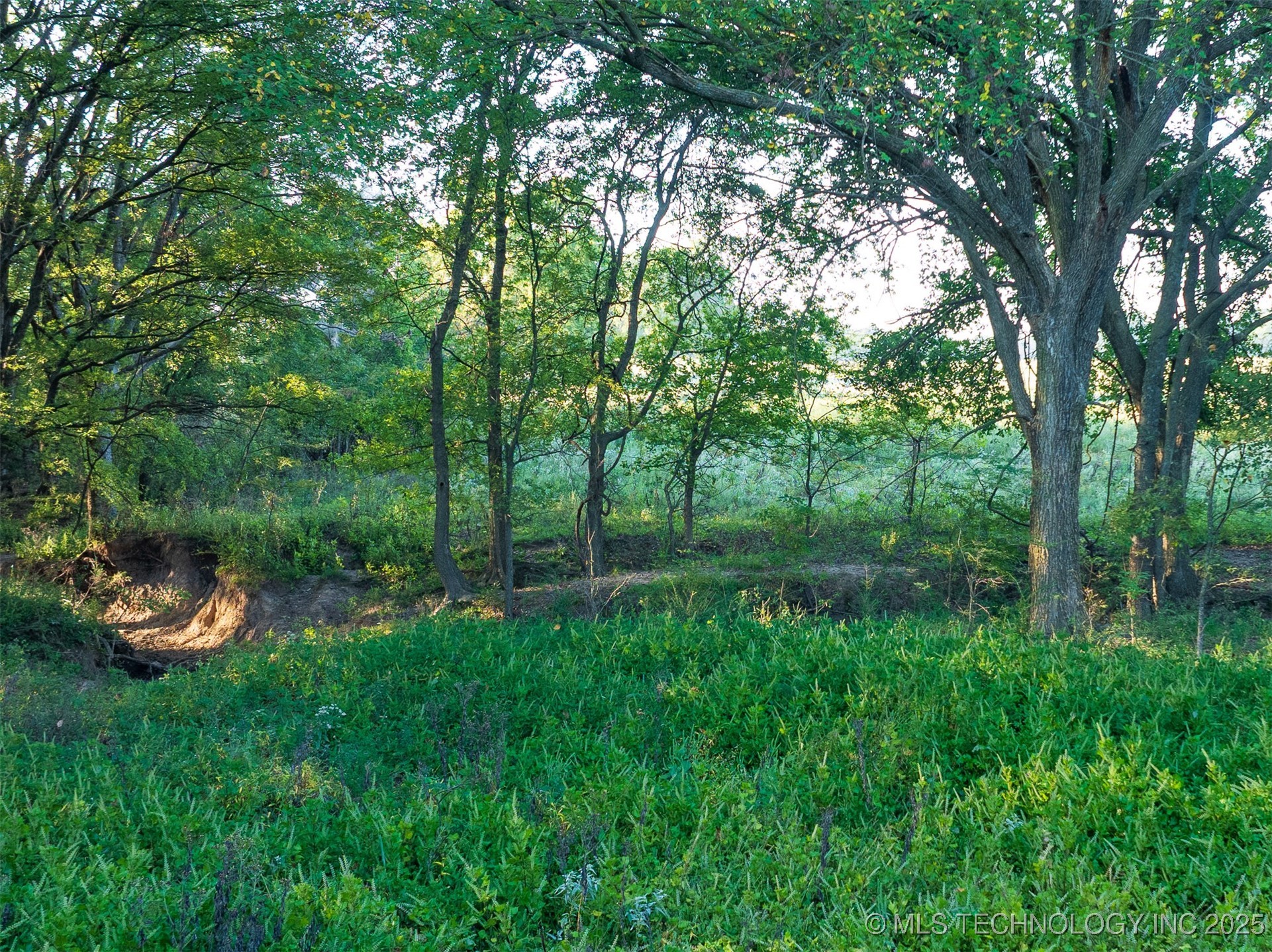 91 E 211th Street S Property Photo 69