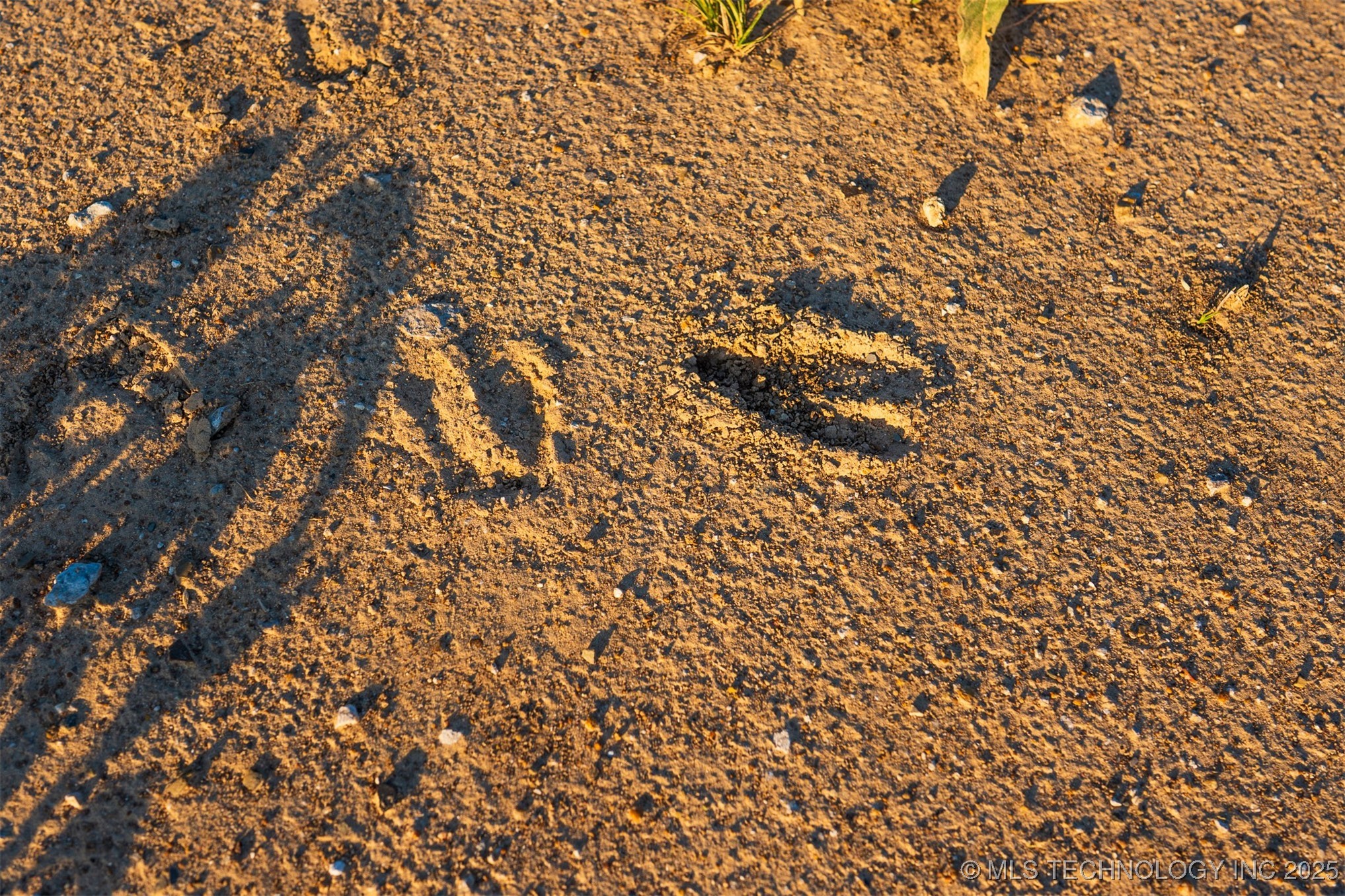 91 E 211th Street S Property Photo 78