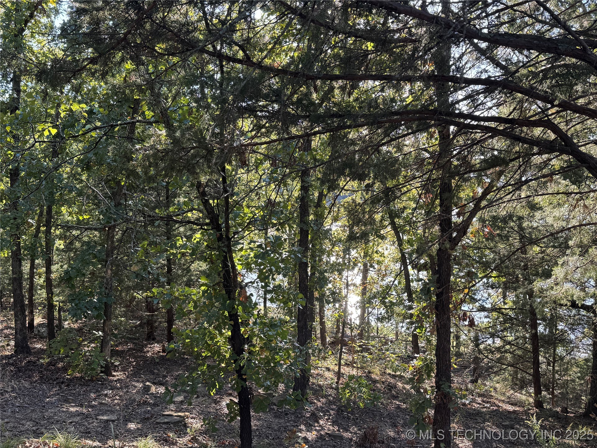 447 N Kershner Road Property Photo 29